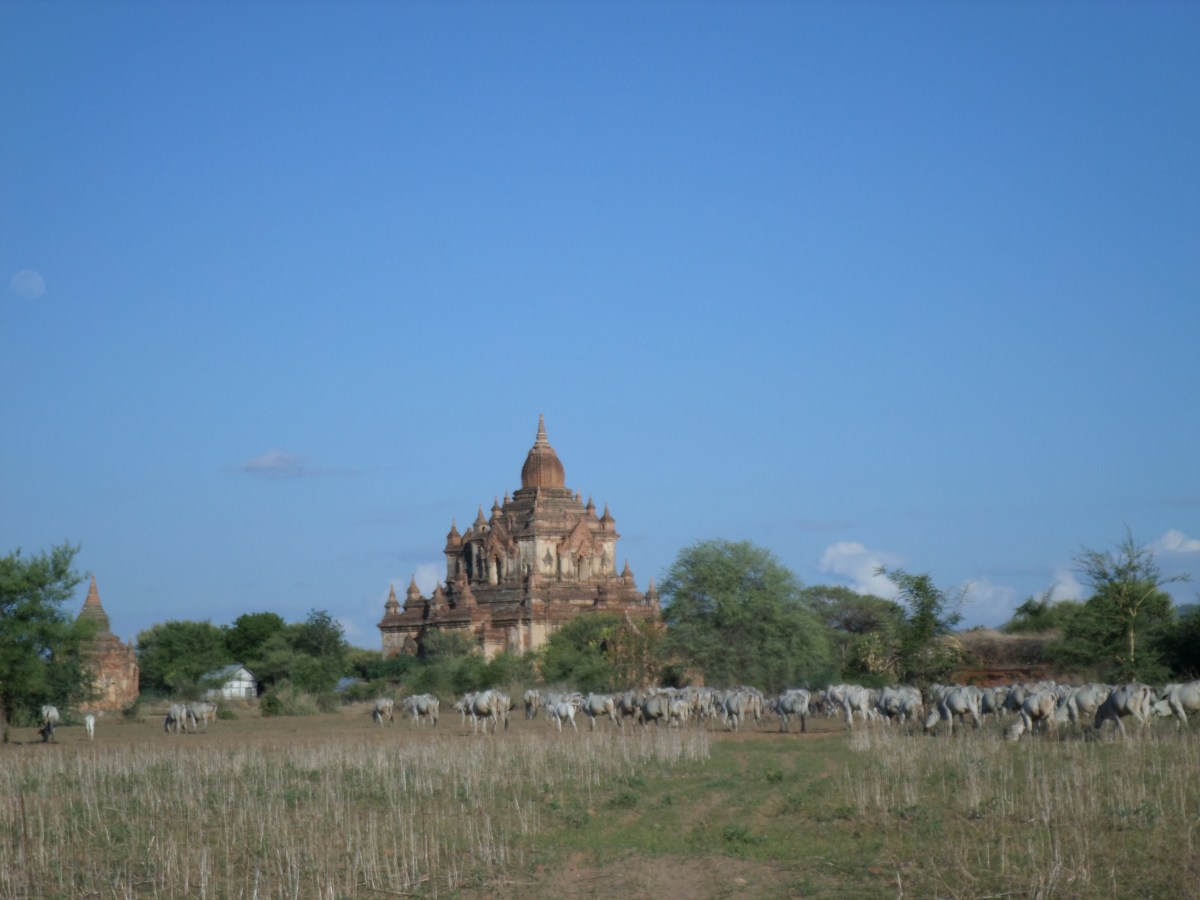 Ancient temples in&nbsp;Bagan