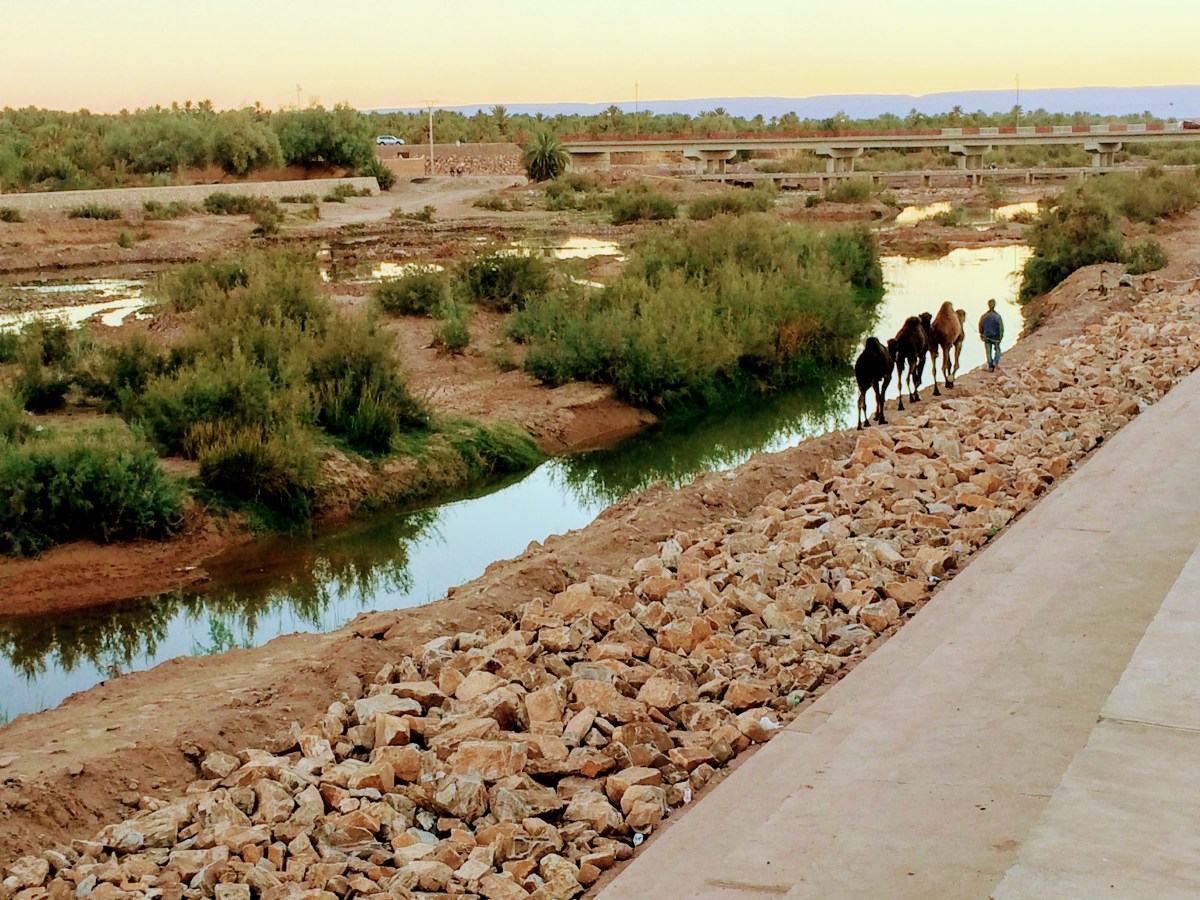 Continuing along the&nbsp;Draa
