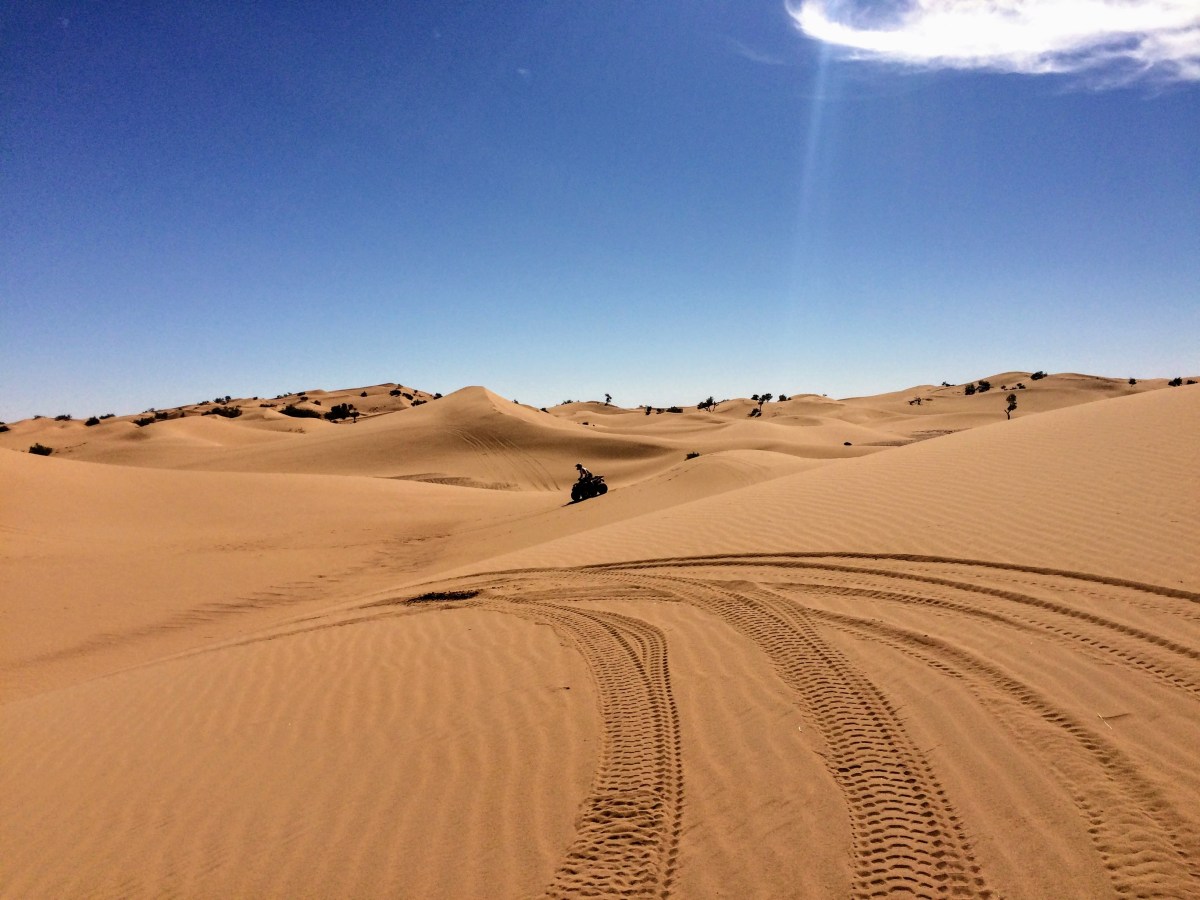 Adventures in the&nbsp;Desert