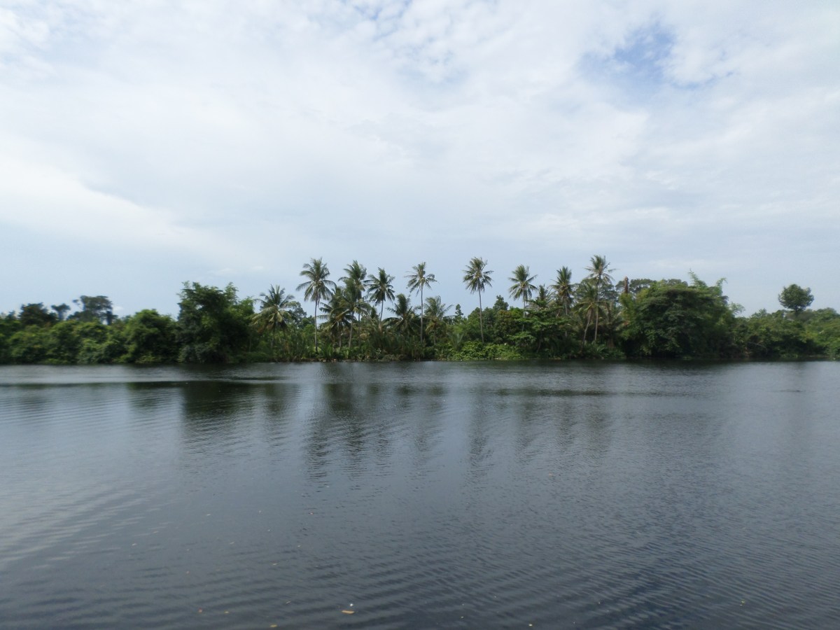 Easy river living in&nbsp;Kampot