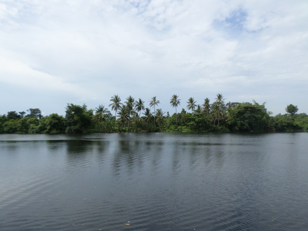 Easy river living in&nbsp;Kampot