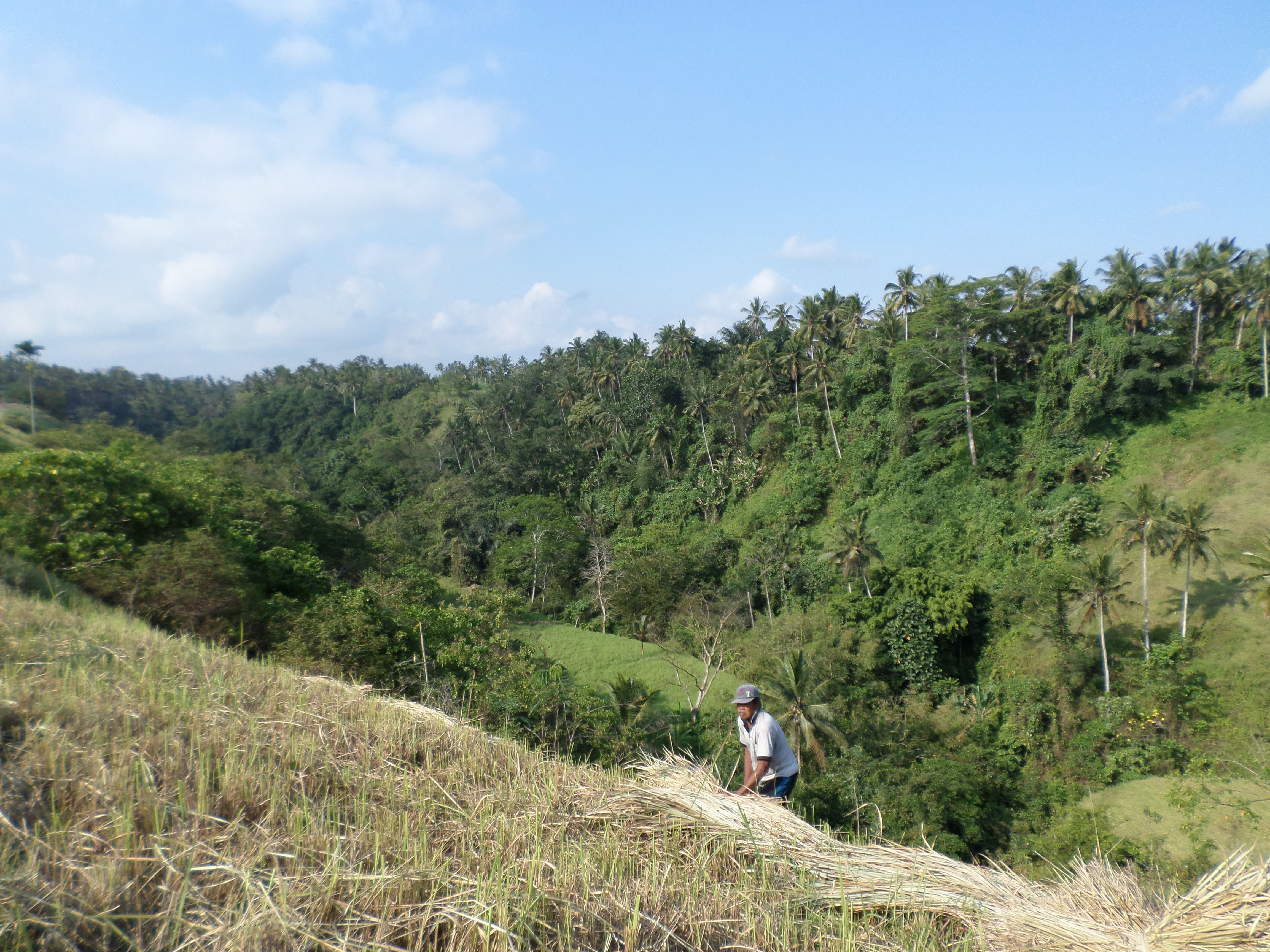 SAMSUNG CAMERA PICTURES