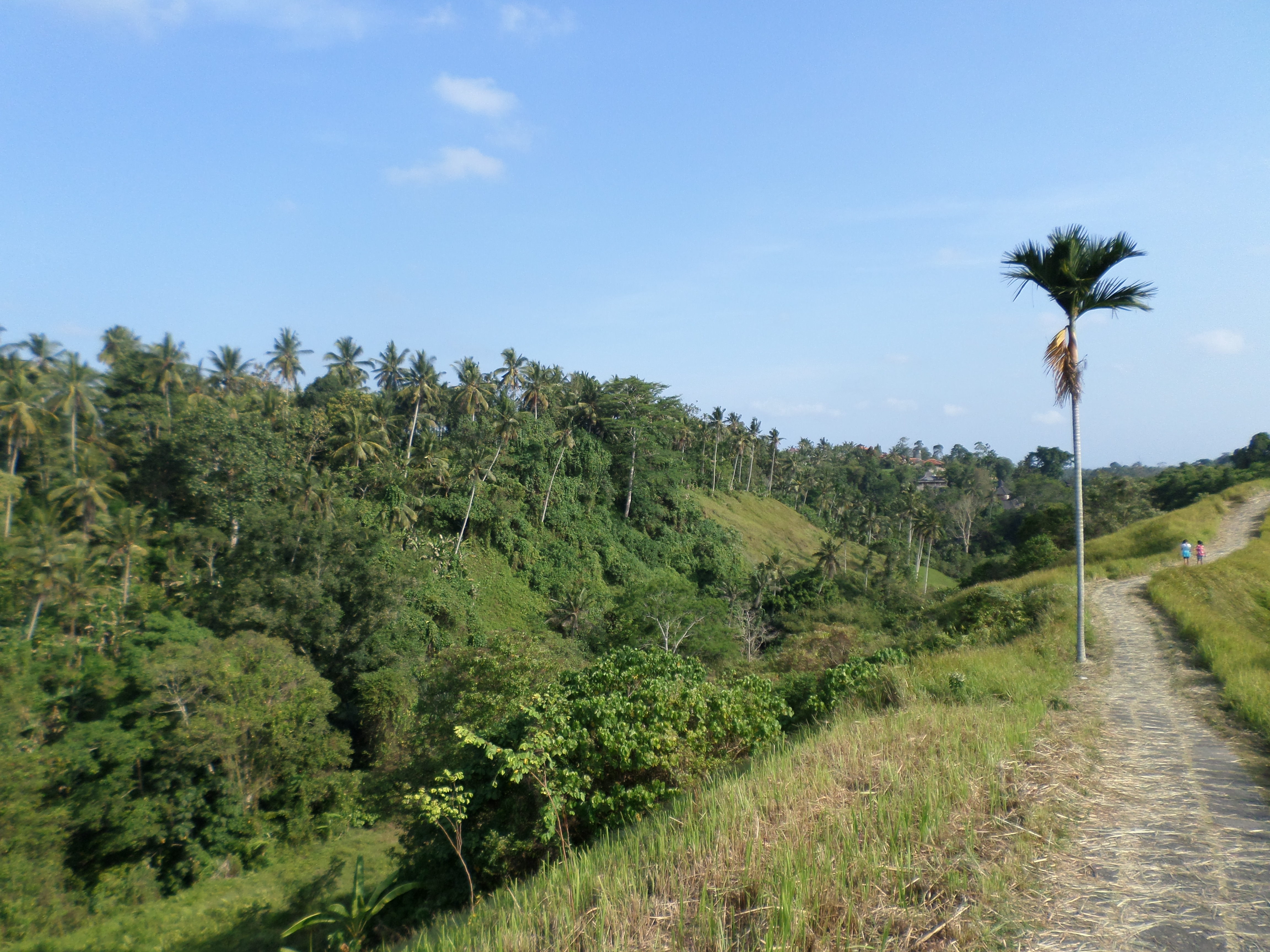 SAMSUNG CAMERA PICTURES