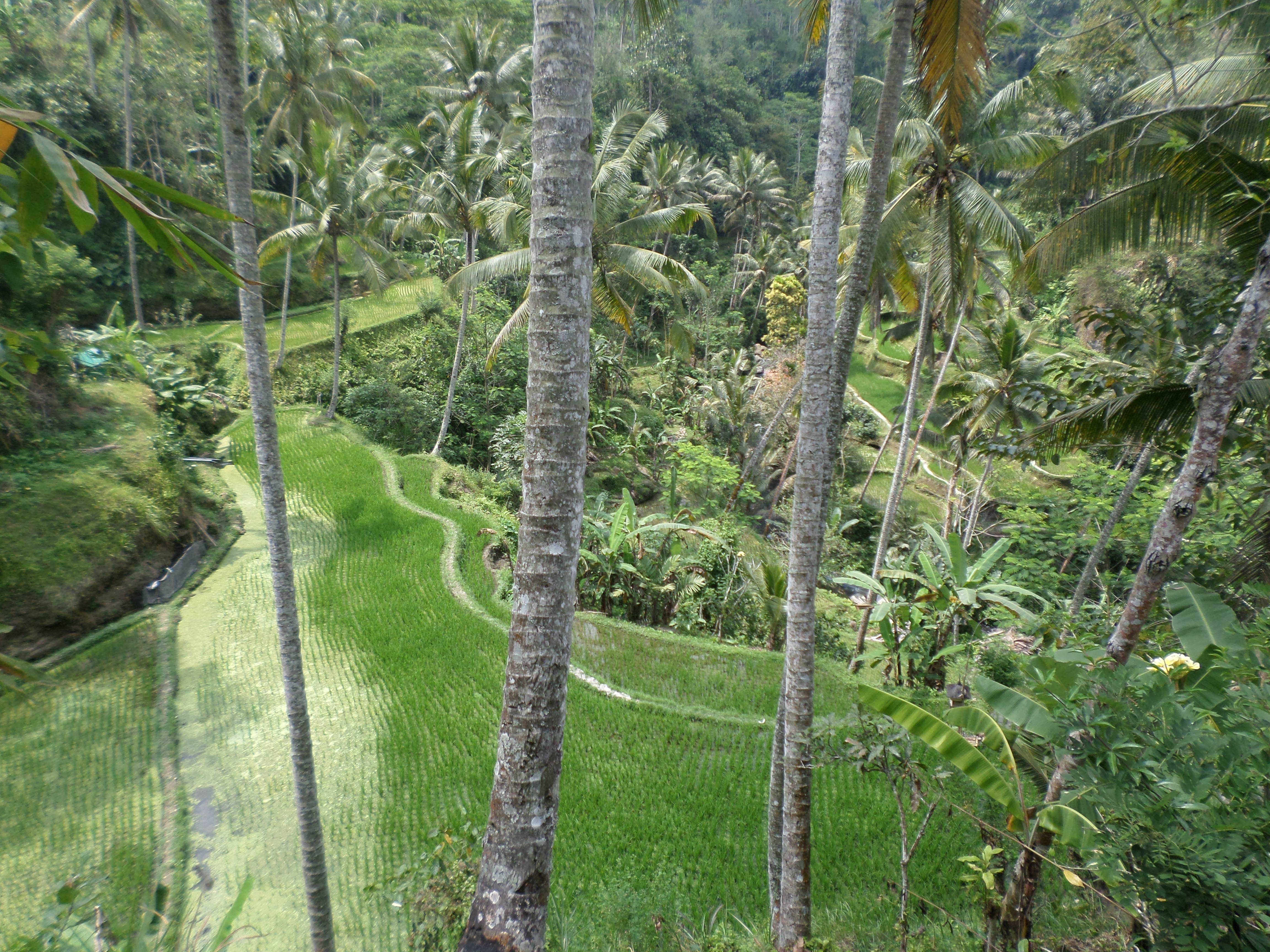 SAMSUNG CAMERA PICTURES