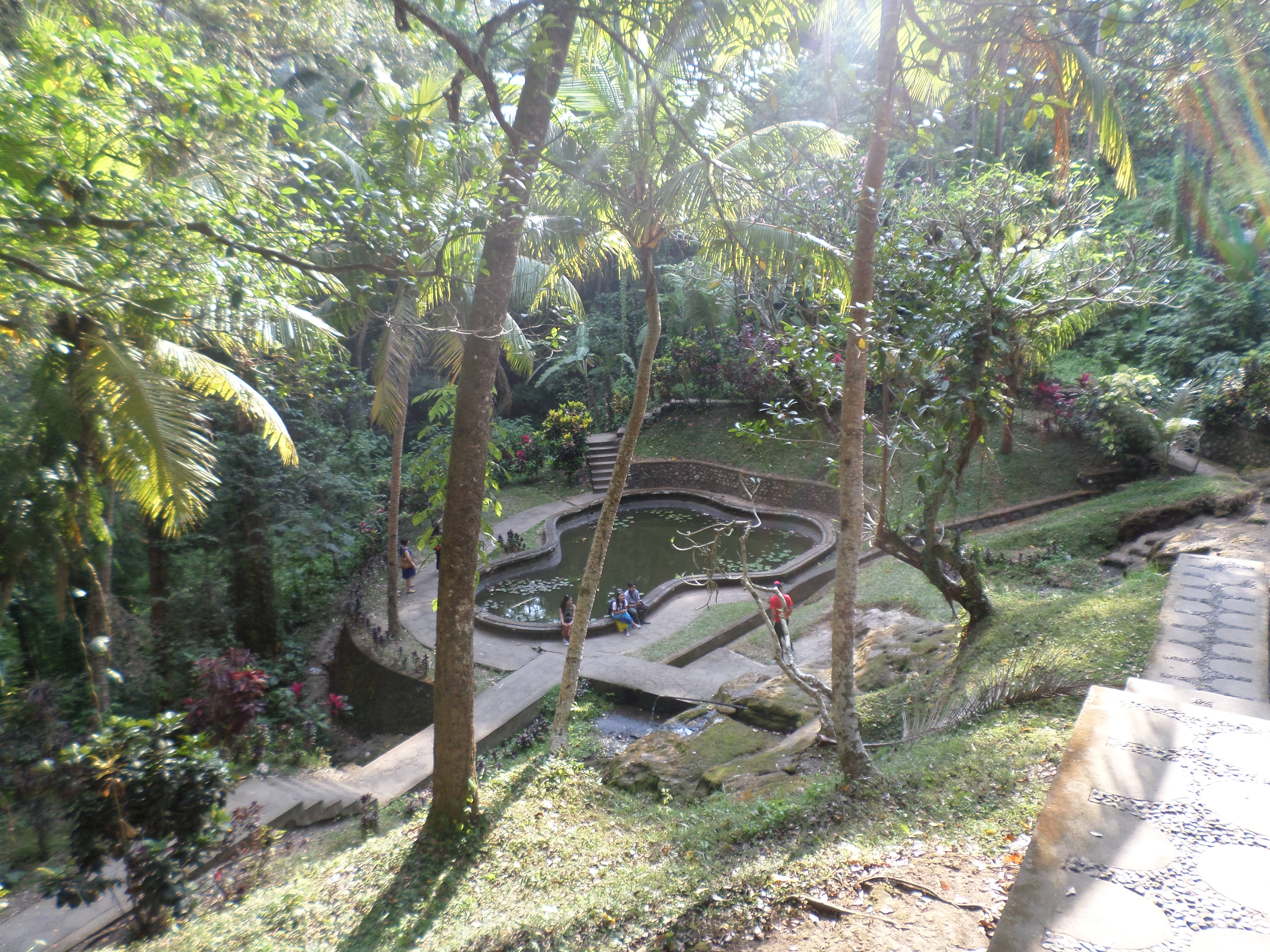 SAMSUNG CAMERA PICTURES