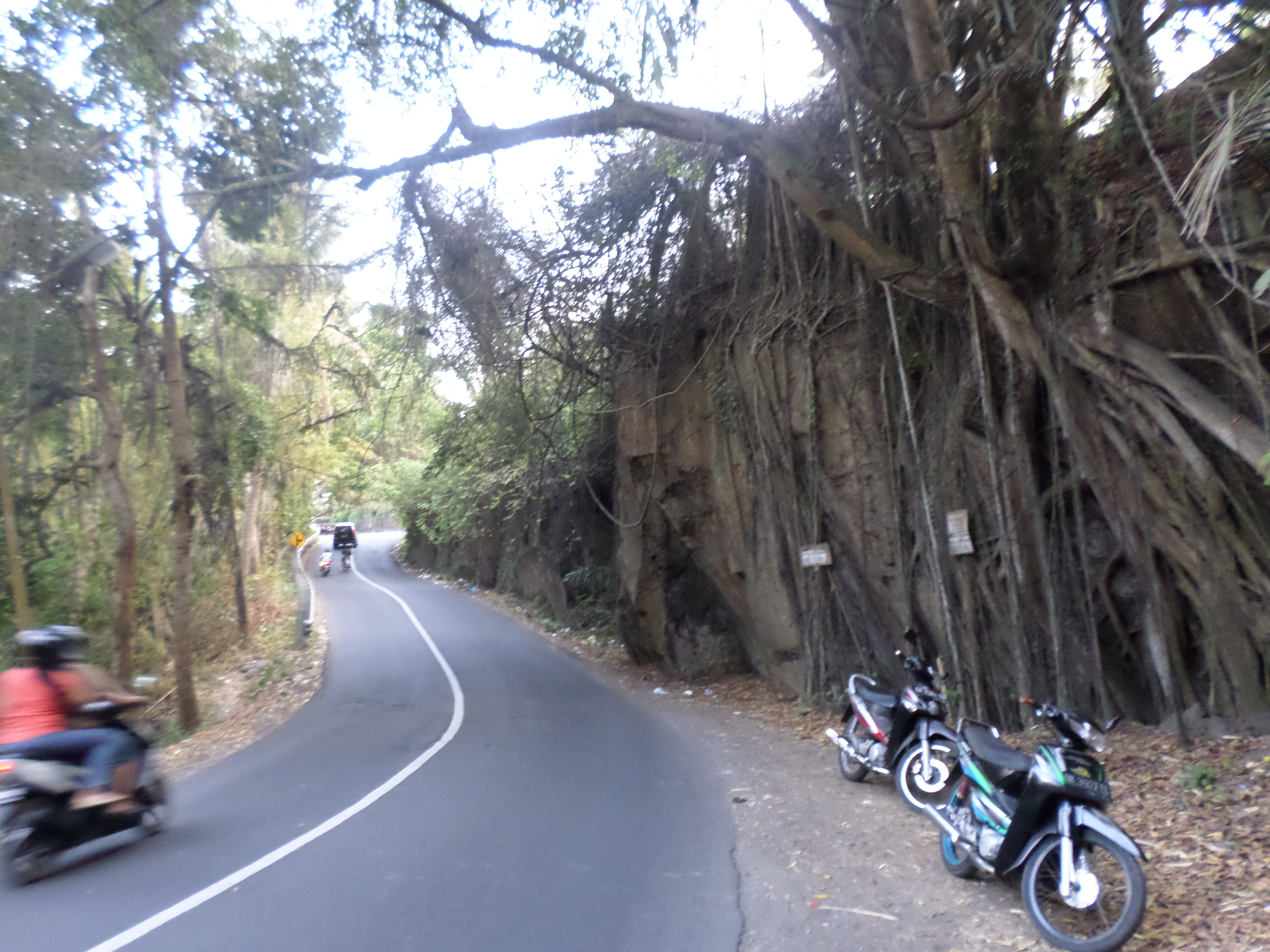 SAMSUNG CAMERA PICTURES