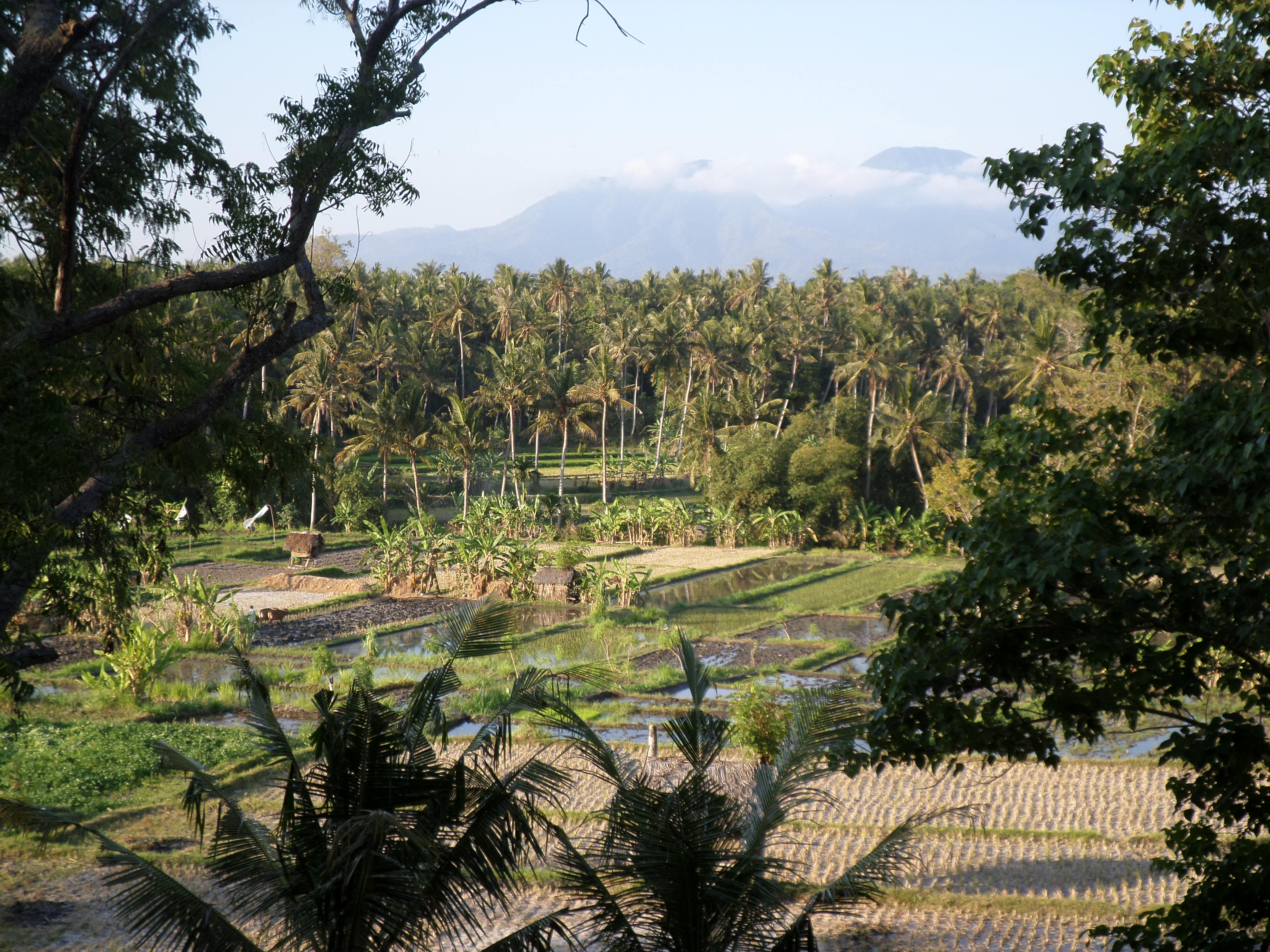 SAMSUNG CAMERA PICTURES