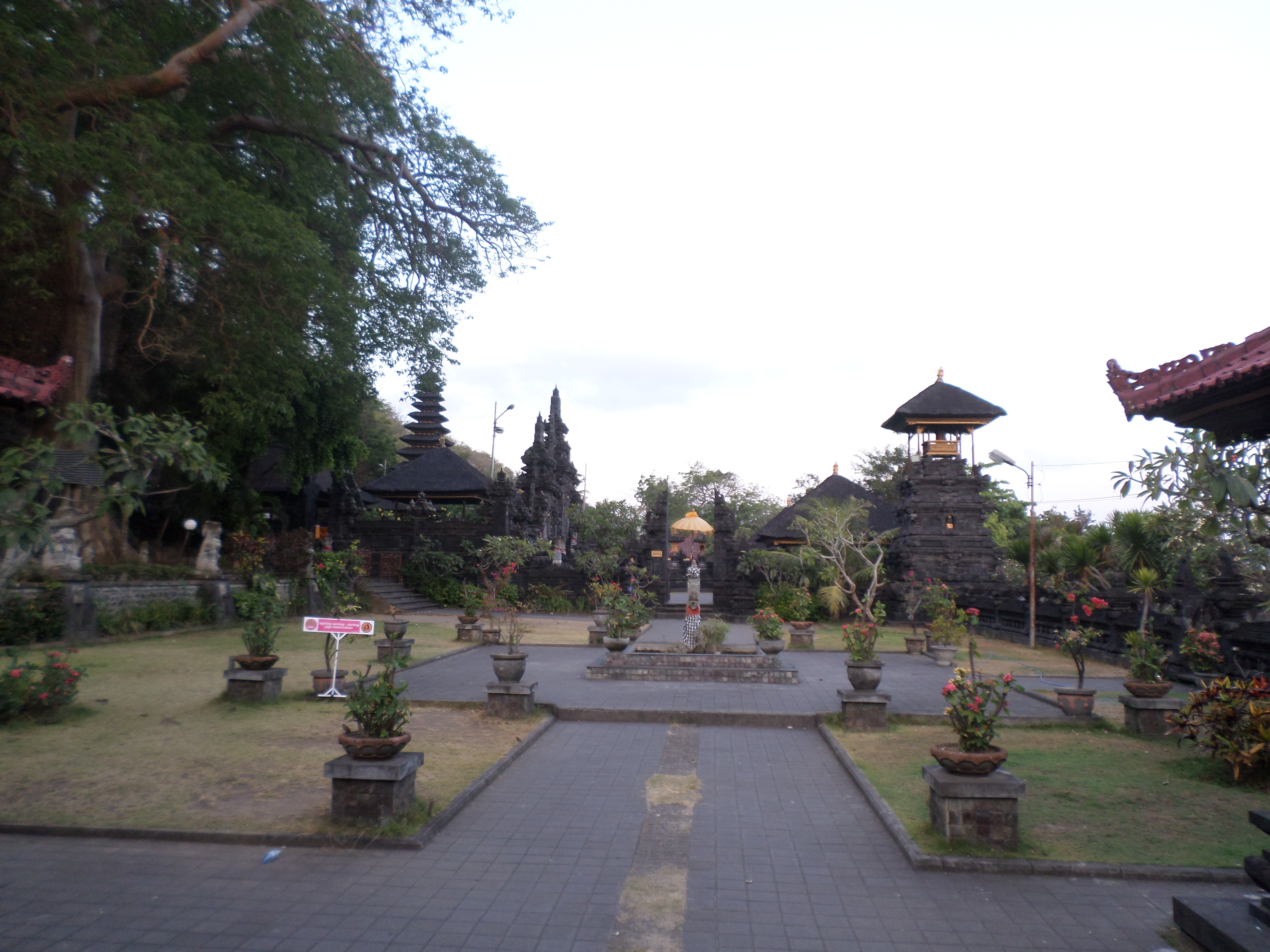 SAMSUNG CAMERA PICTURES