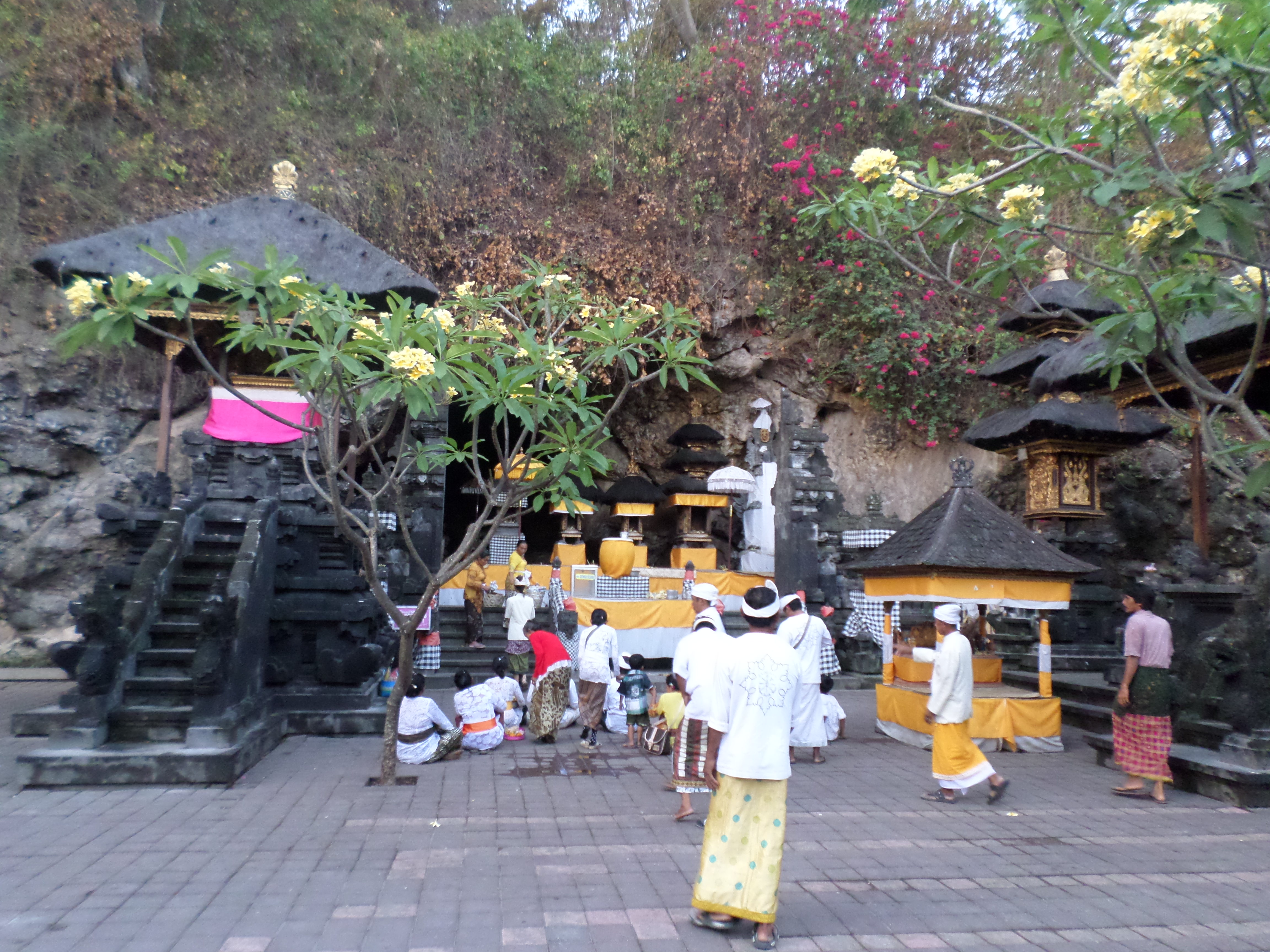 SAMSUNG CAMERA PICTURES