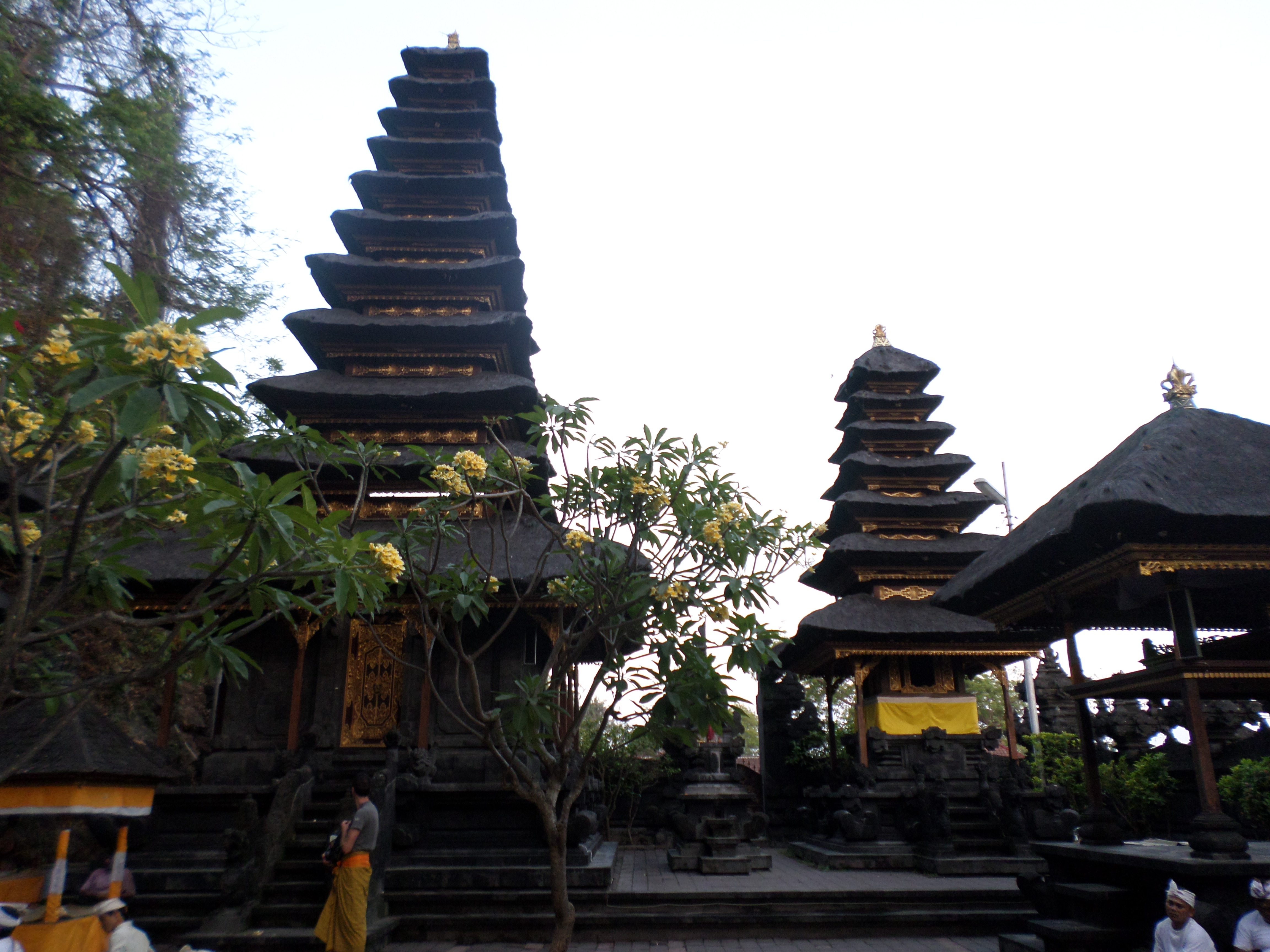 SAMSUNG CAMERA PICTURES