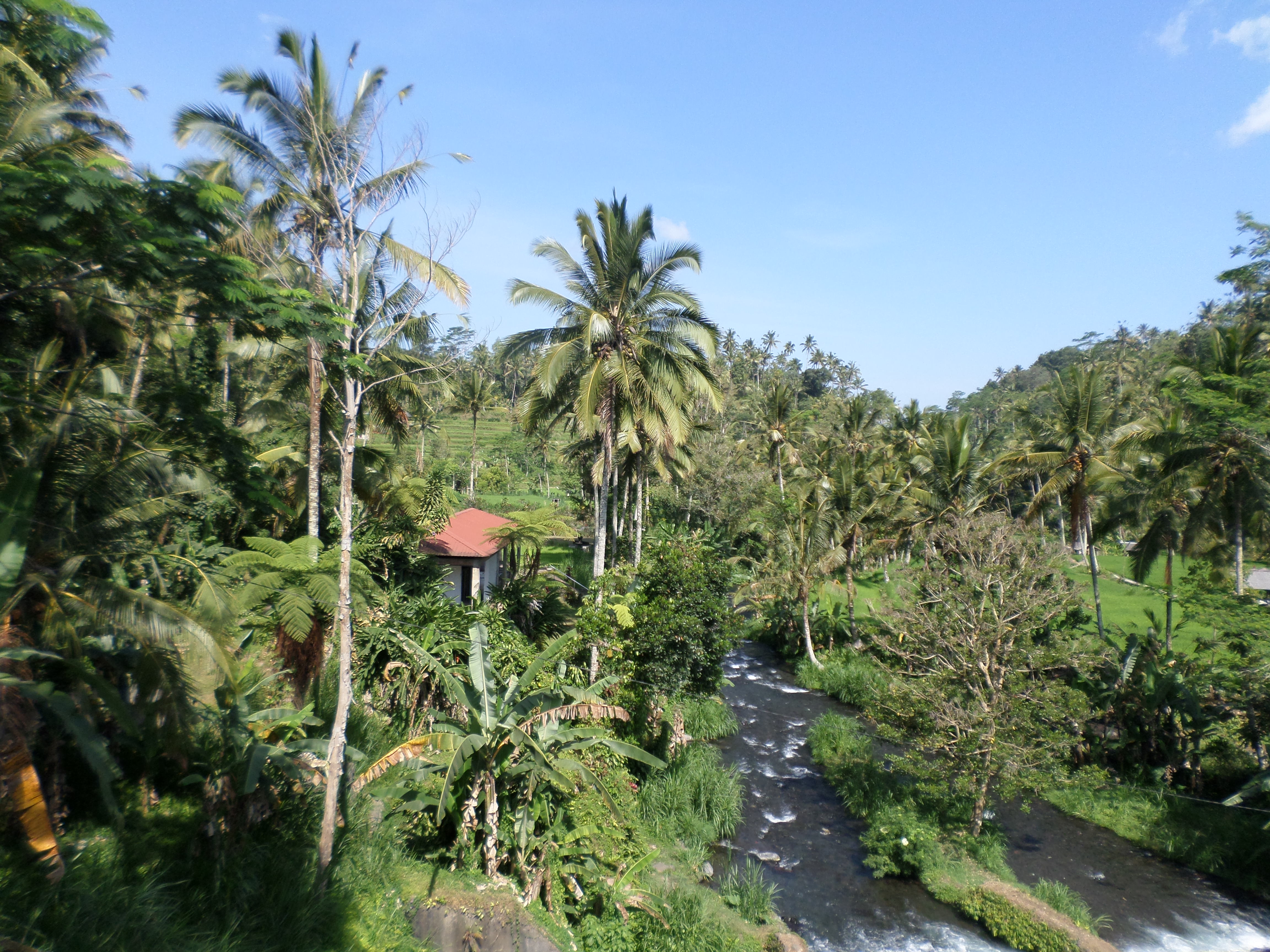 SAMSUNG CAMERA PICTURES