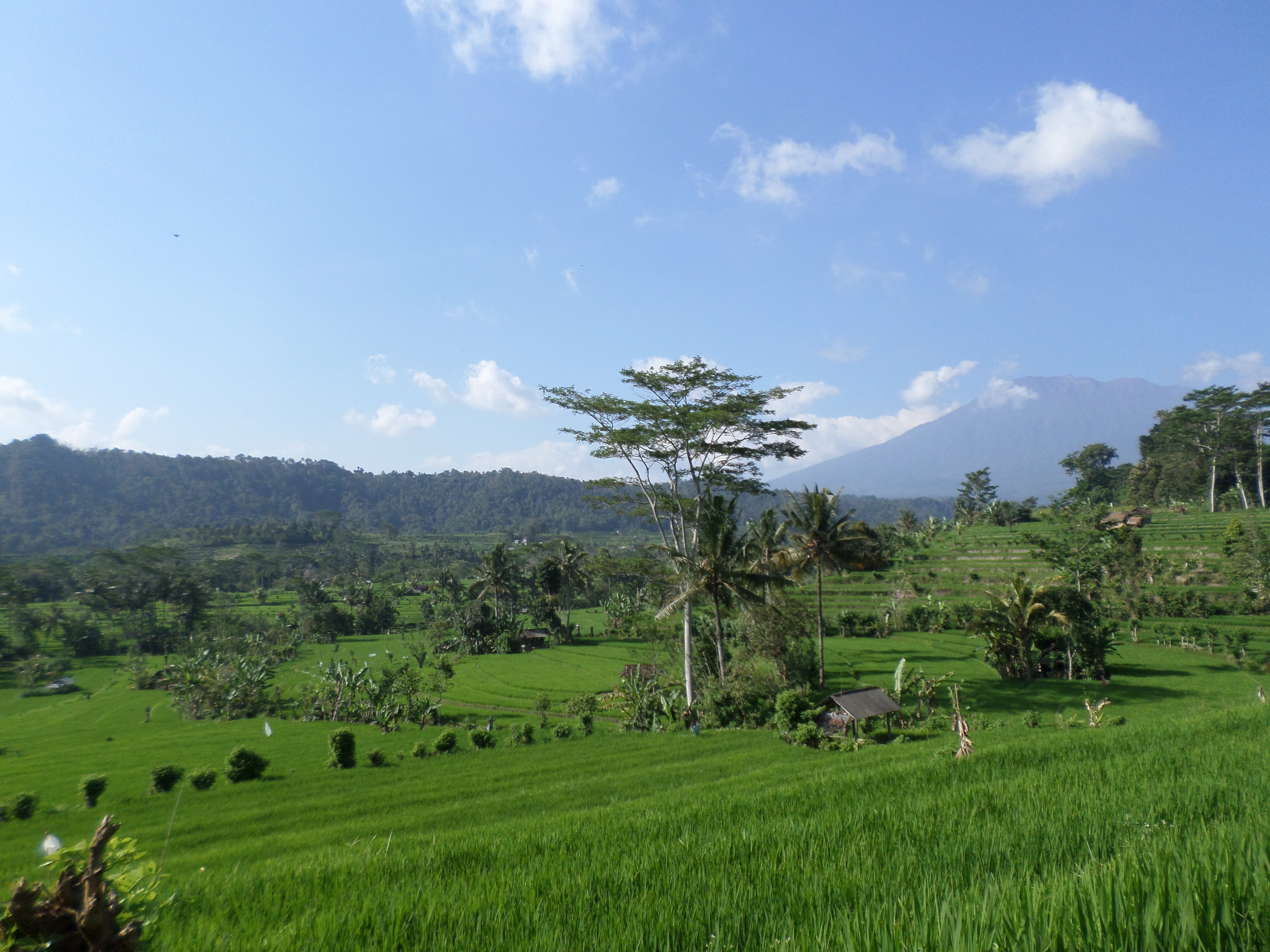 SAMSUNG CAMERA PICTURES