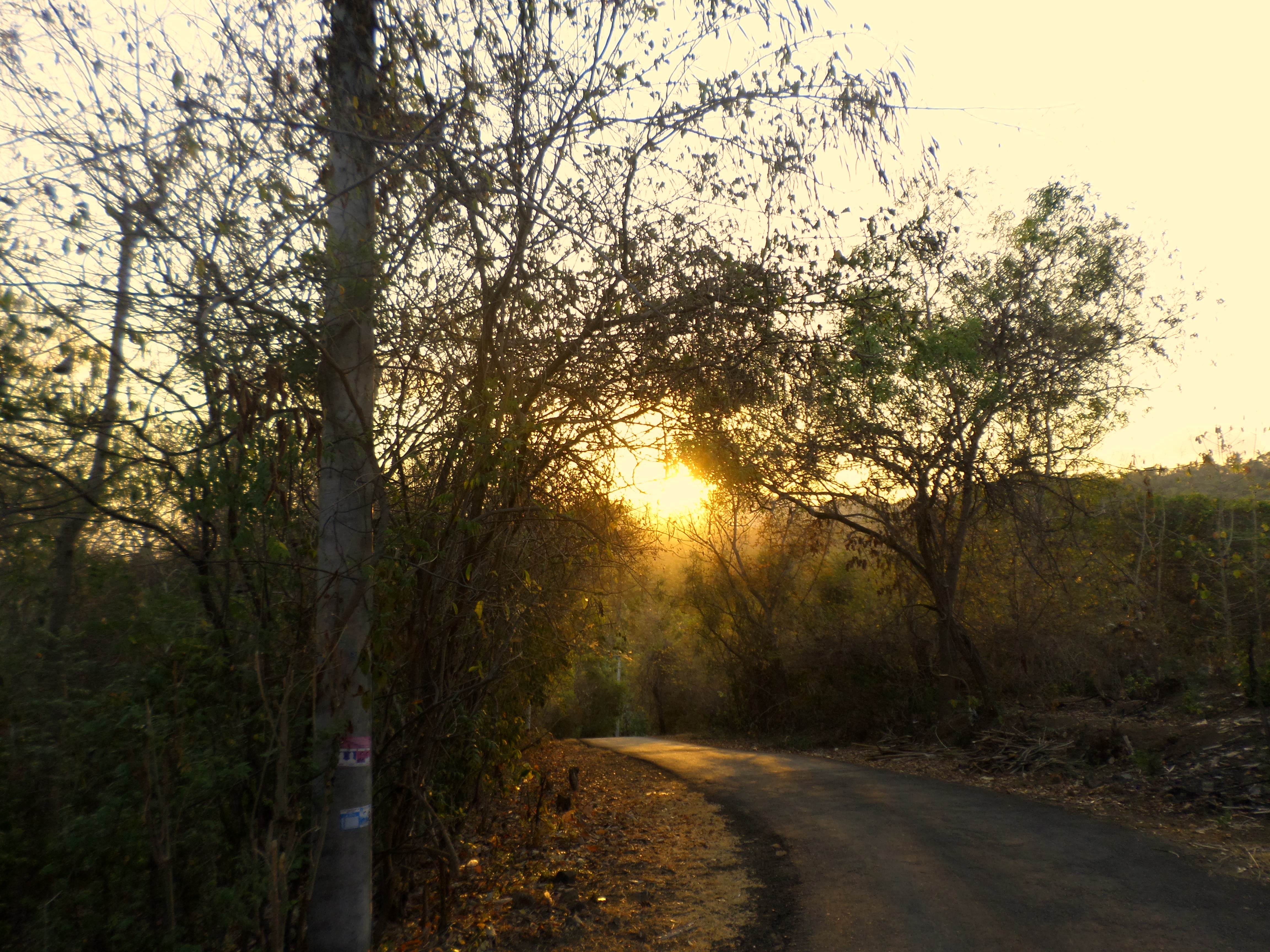 SAMSUNG CAMERA PICTURES