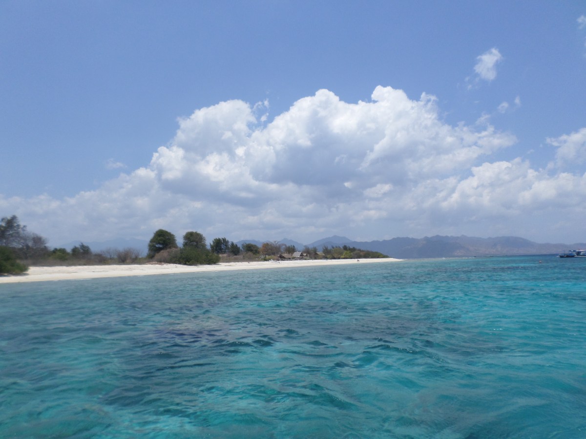 Turtles in Gili&nbsp;Trawangan