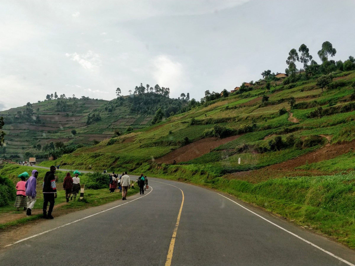 Arriving in Entebbe and Self-Drive to&nbsp;Bwindi