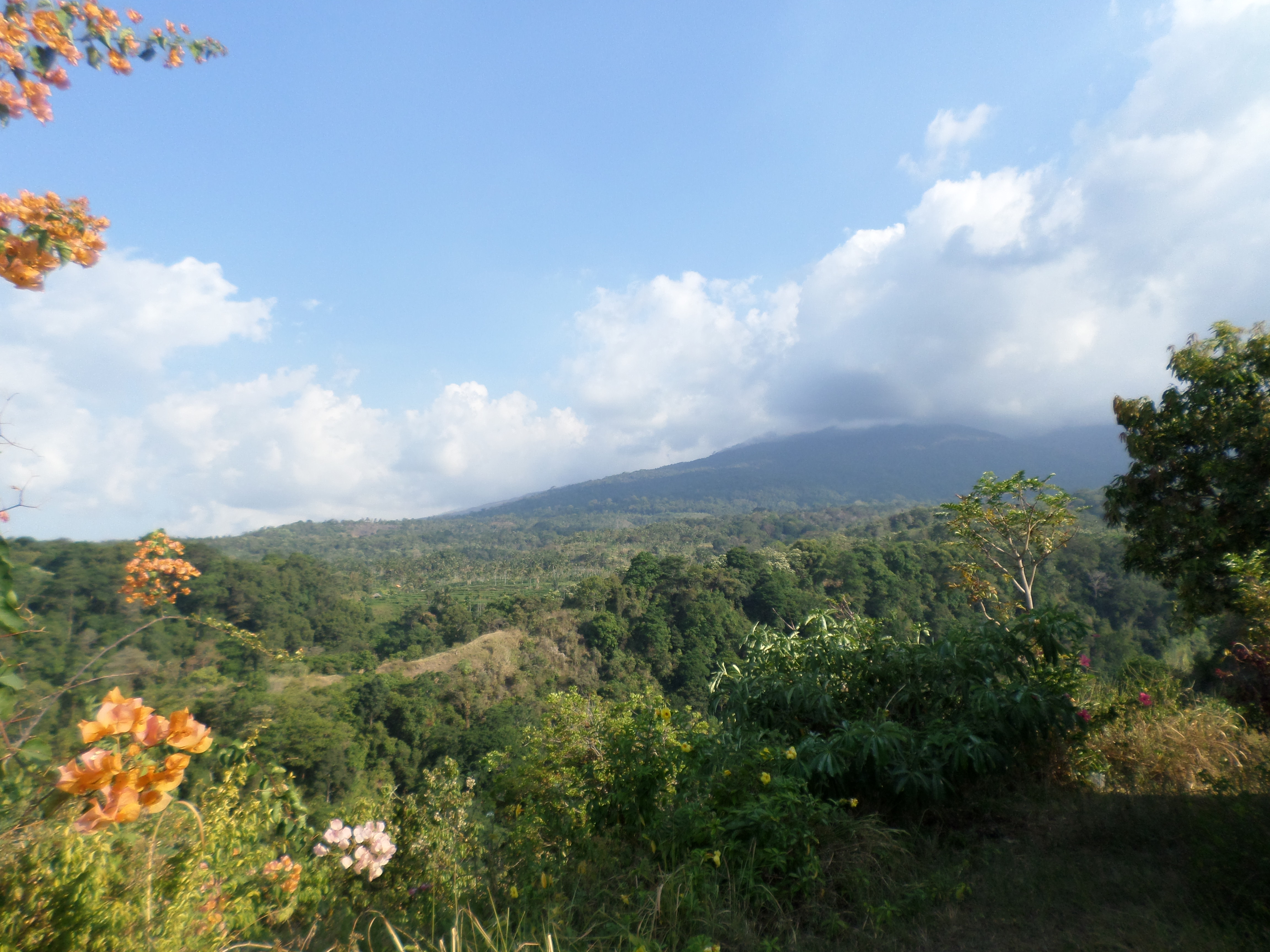 SAMSUNG CAMERA PICTURES