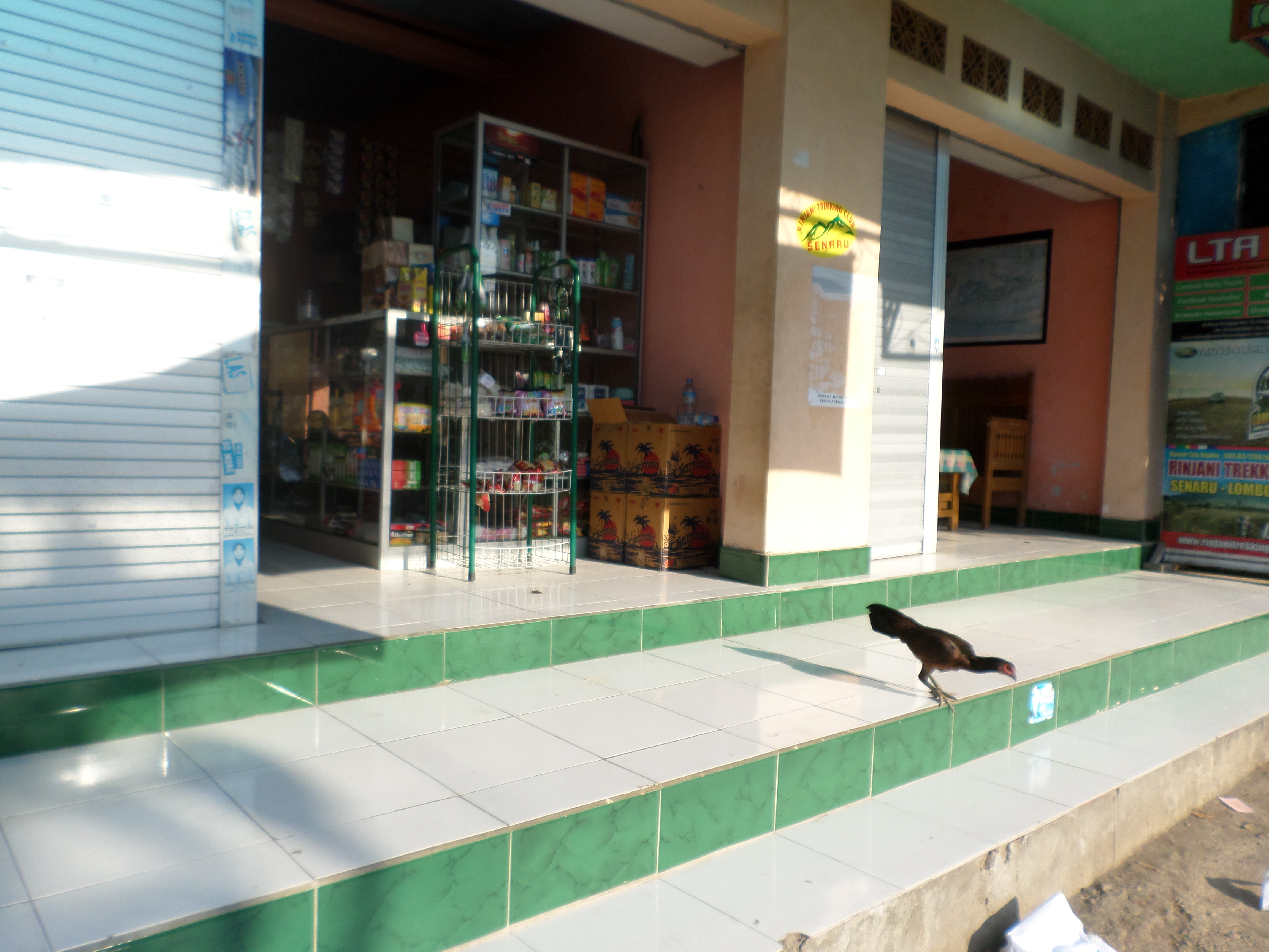 SAMSUNG CAMERA PICTURES