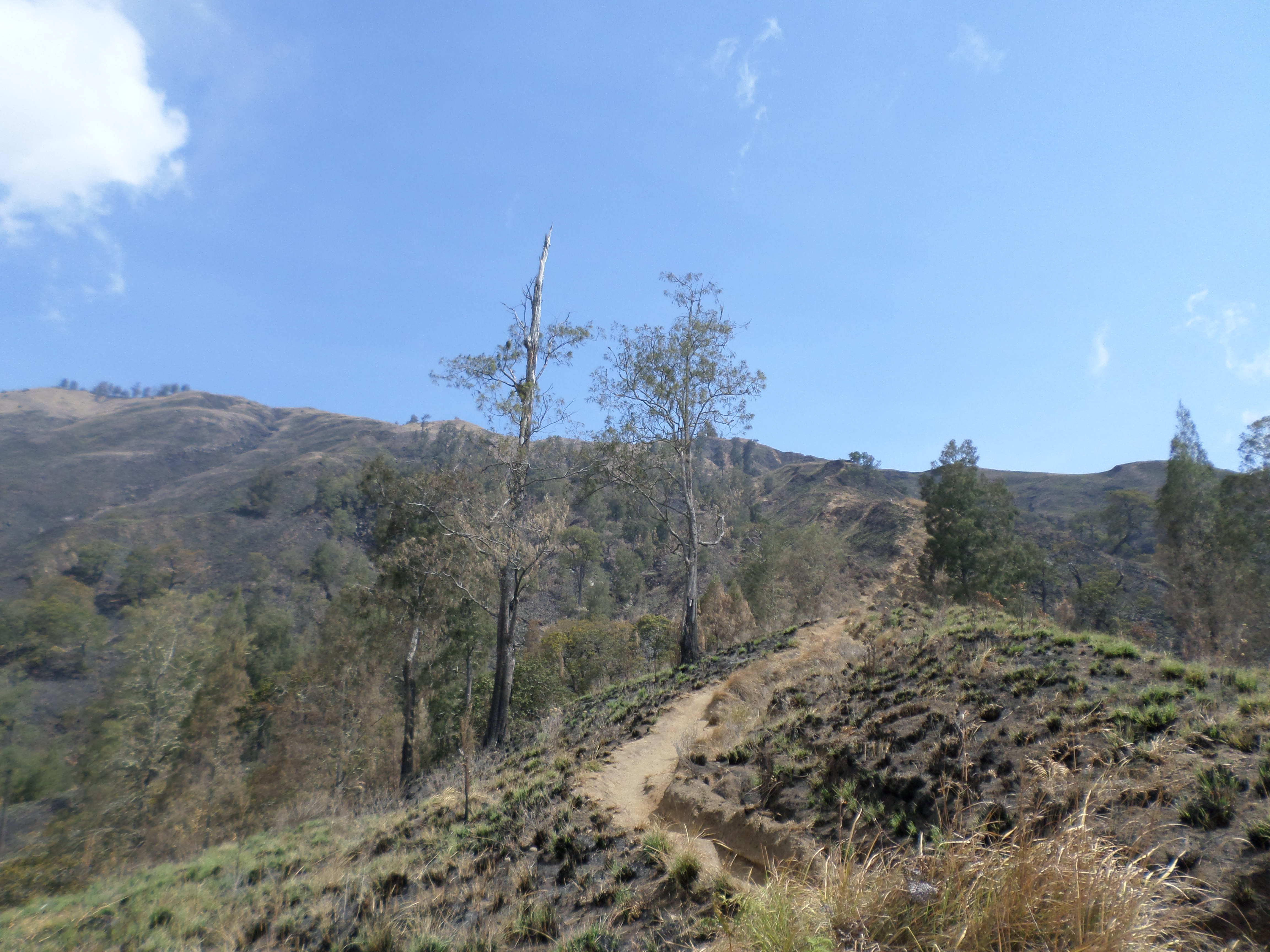 SAMSUNG CAMERA PICTURES