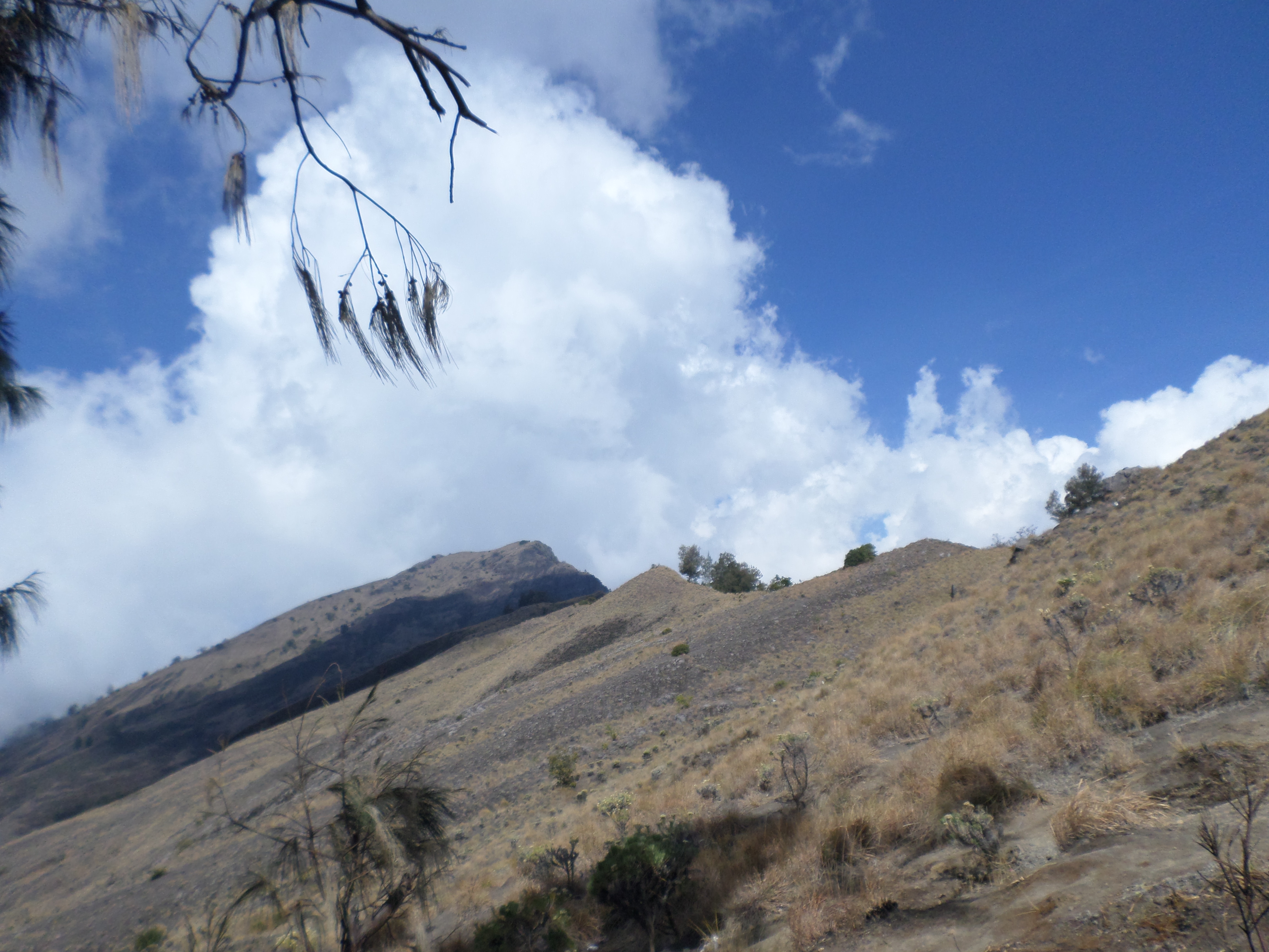 SAMSUNG CAMERA PICTURES