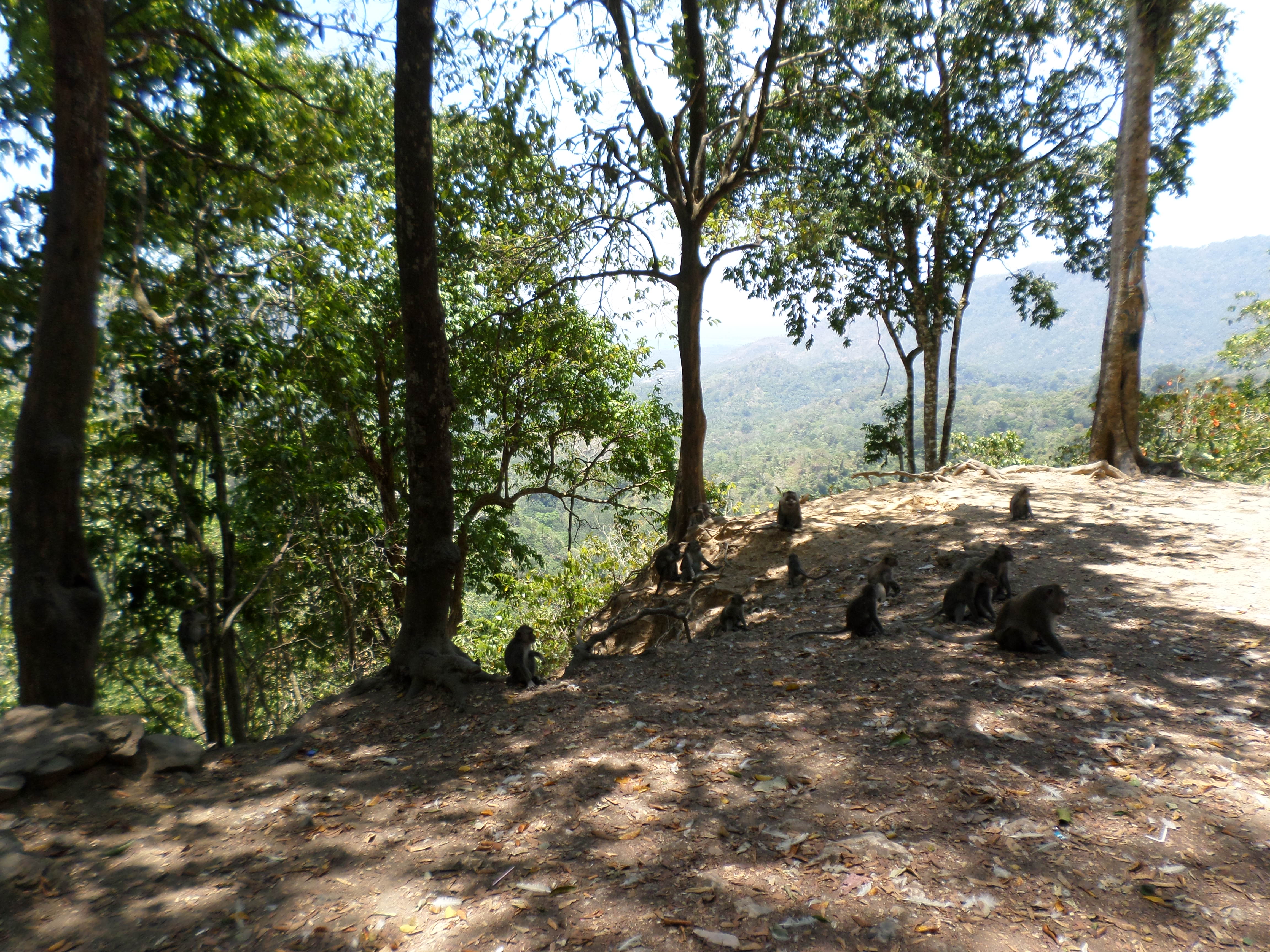 SAMSUNG CAMERA PICTURES