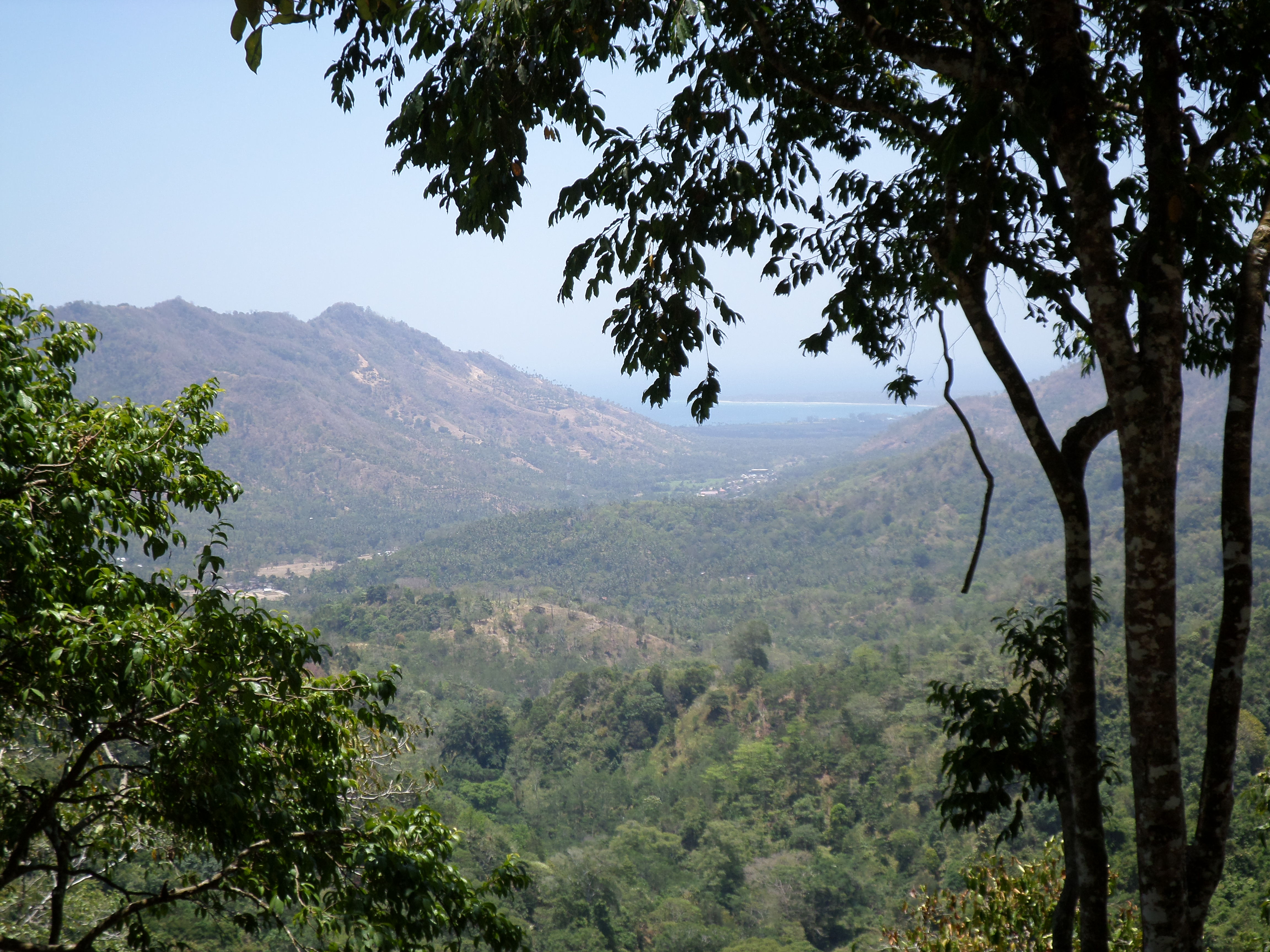 SAMSUNG CAMERA PICTURES