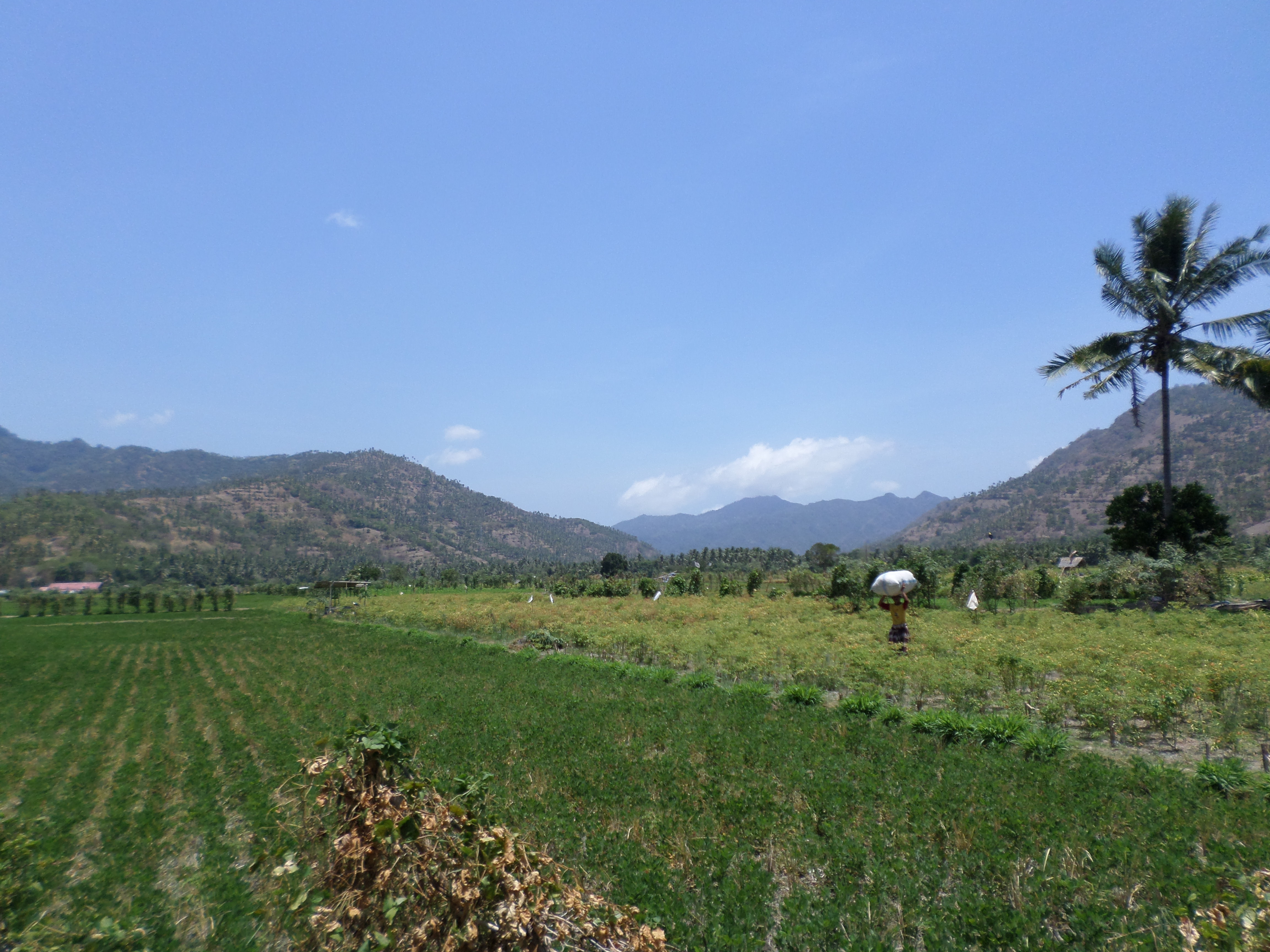 SAMSUNG CAMERA PICTURES