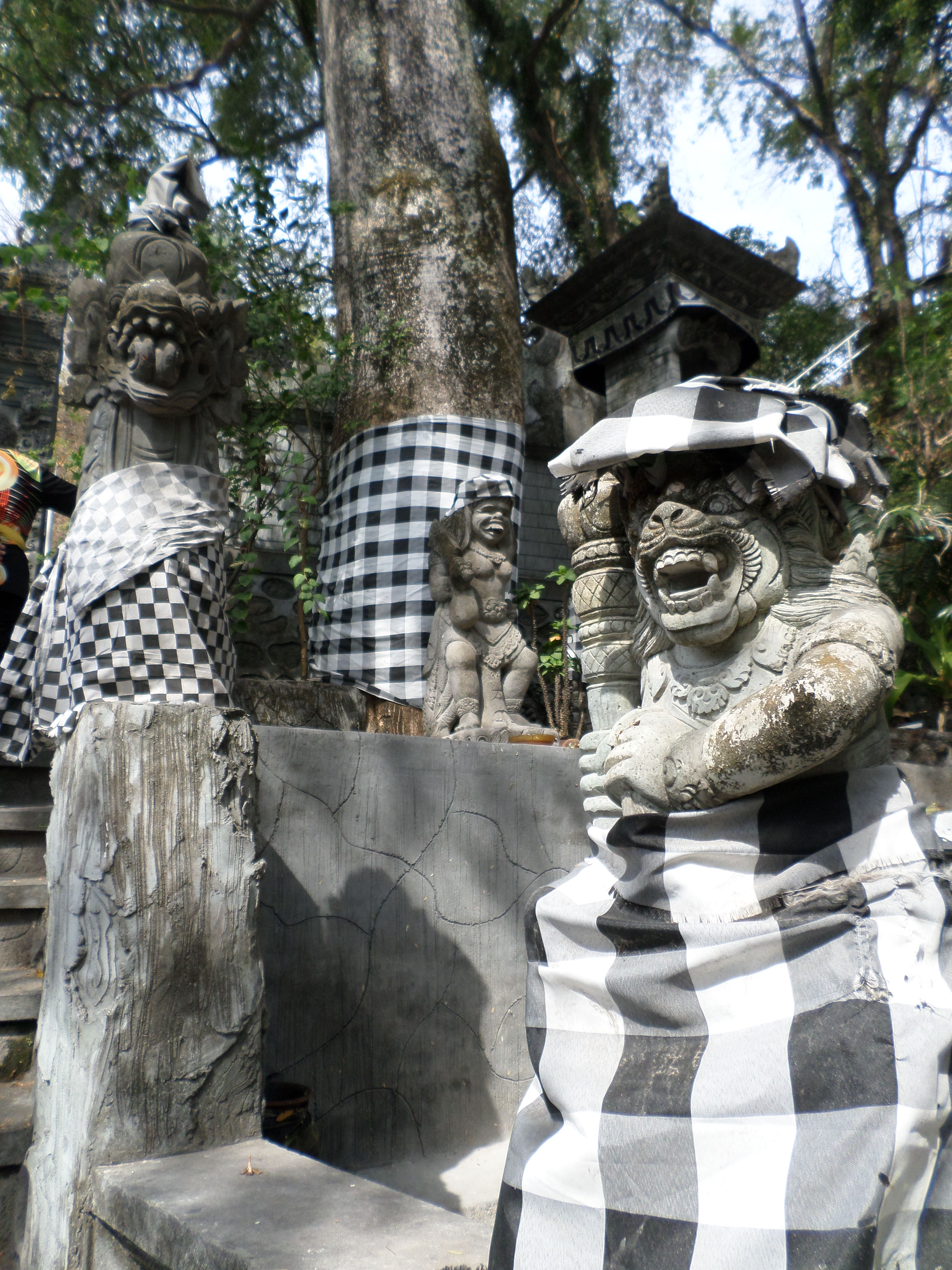 SAMSUNG CAMERA PICTURES