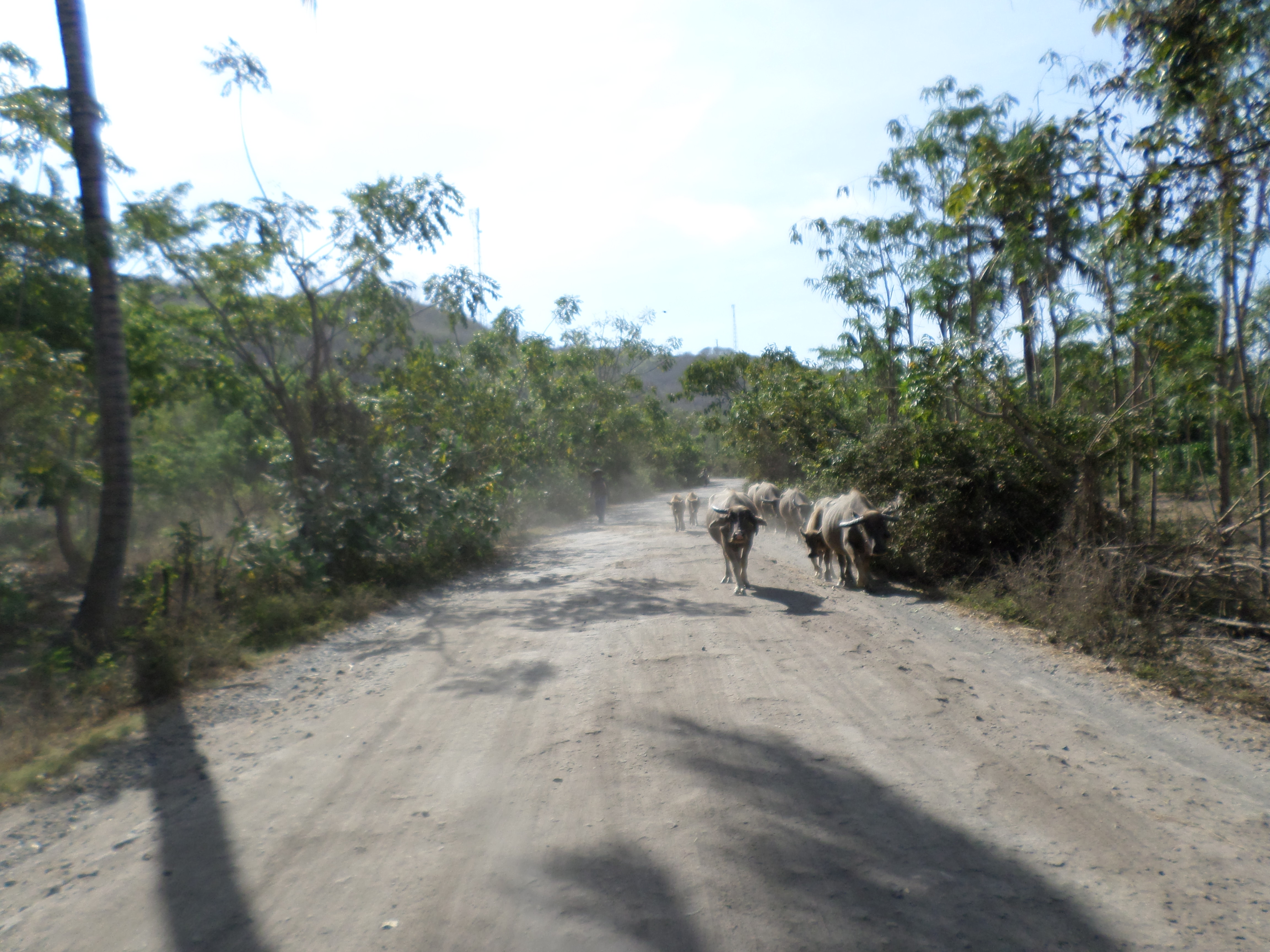 SAMSUNG CAMERA PICTURES