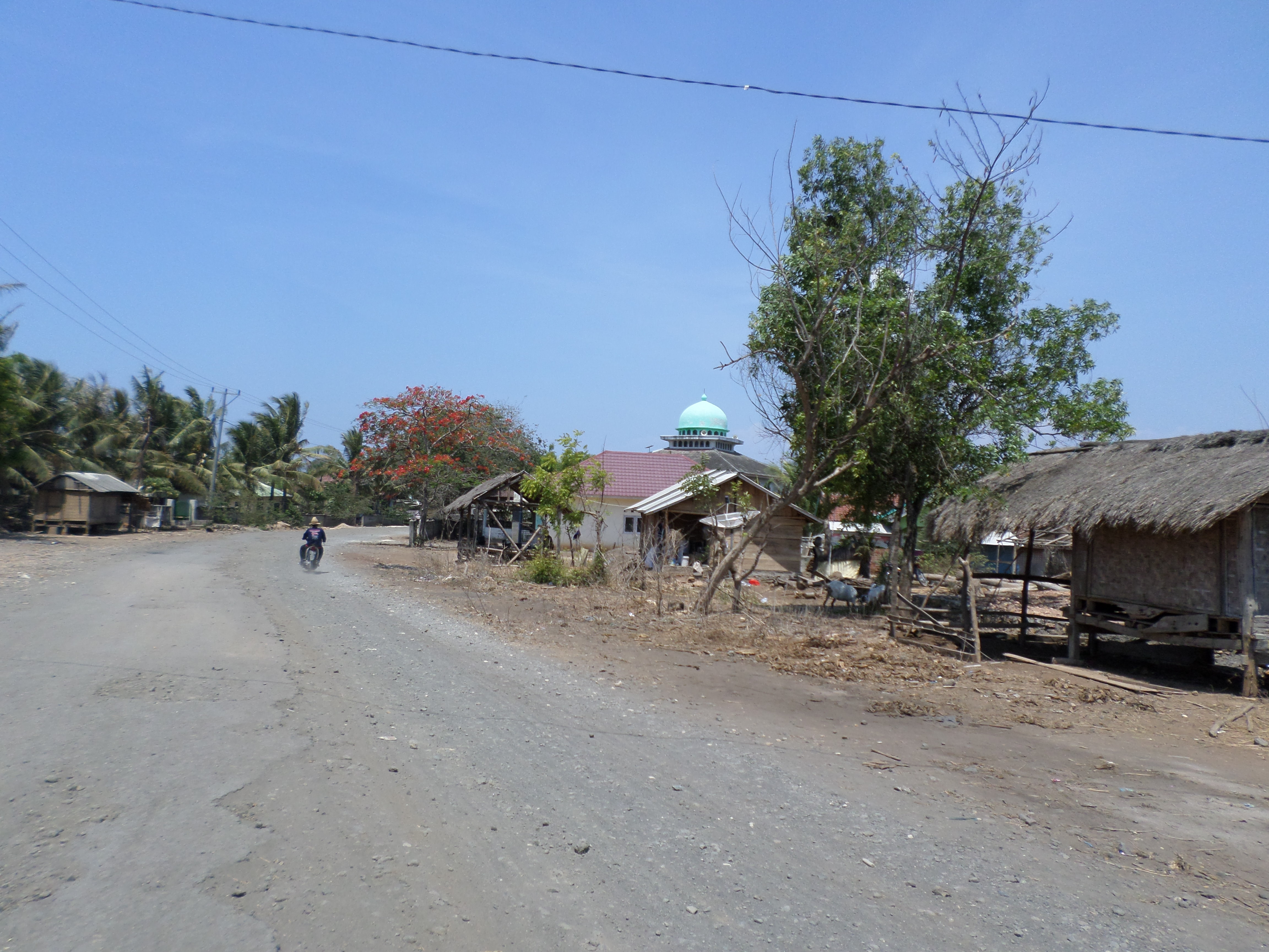 SAMSUNG CAMERA PICTURES