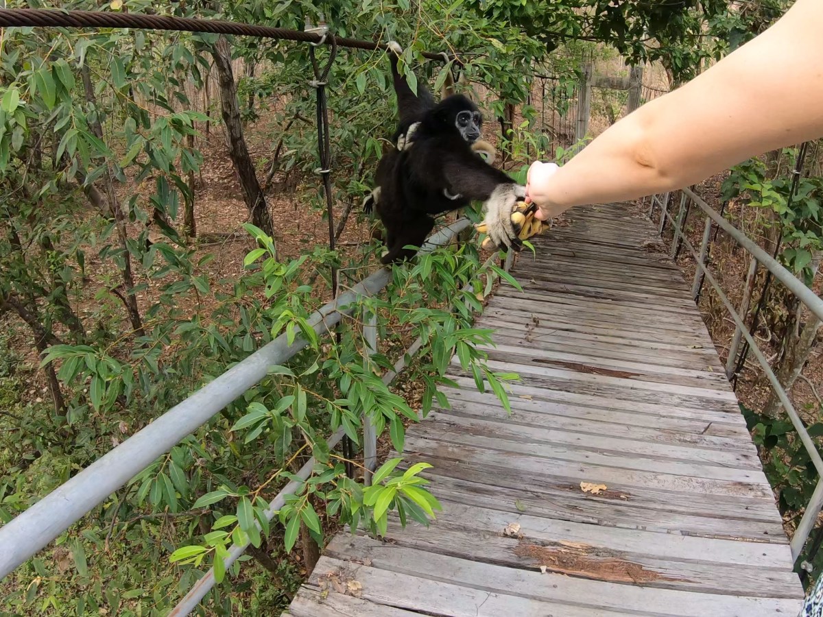 Driving the Mae Hong Son&nbsp;Loop