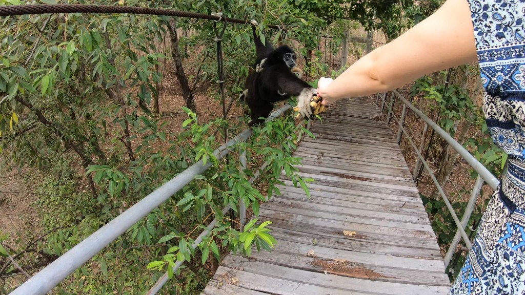 Driving the Mae Hong Son&nbsp;Loop