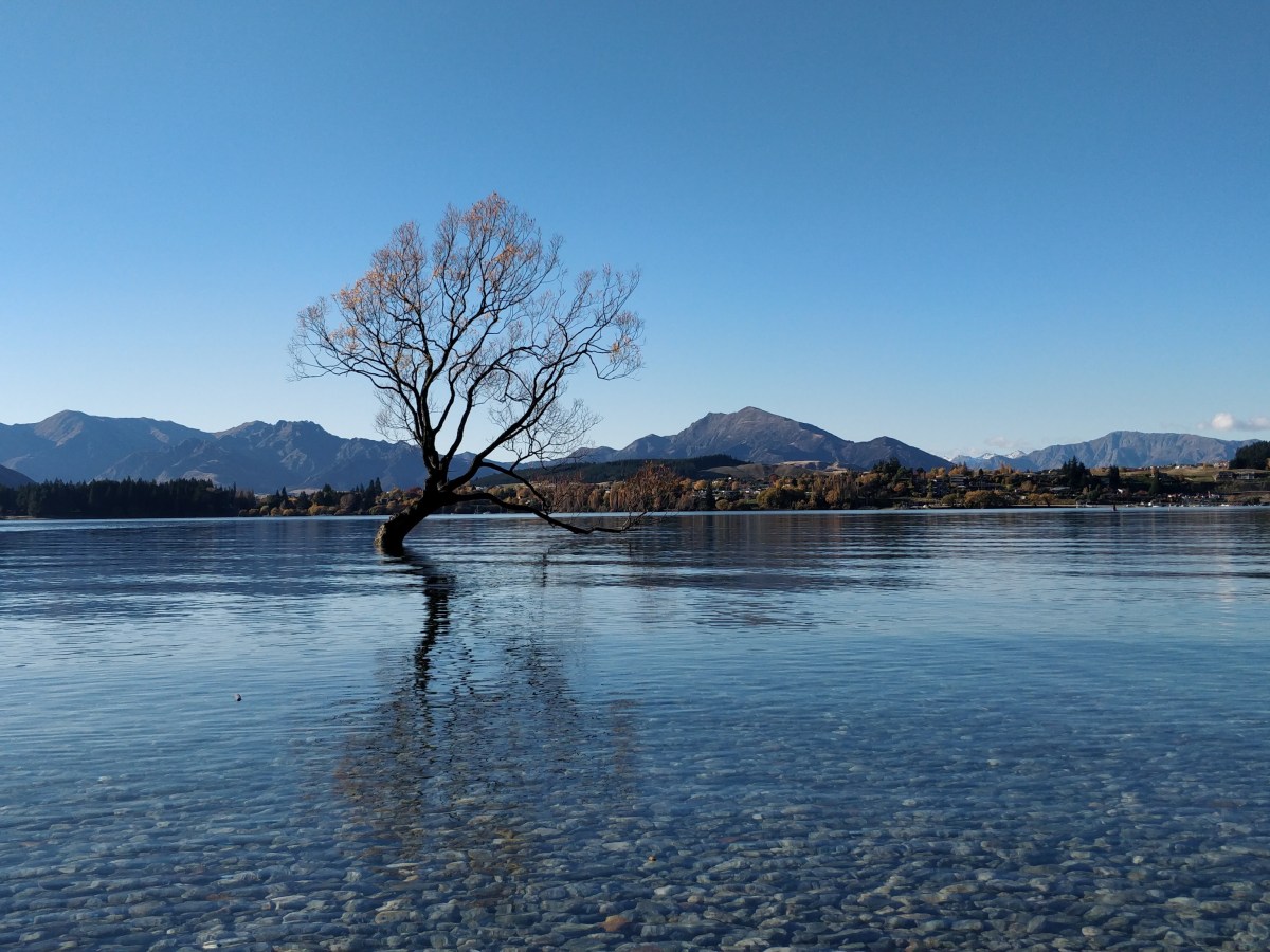 Day Trip to Arrowtown and&nbsp;Wanaka