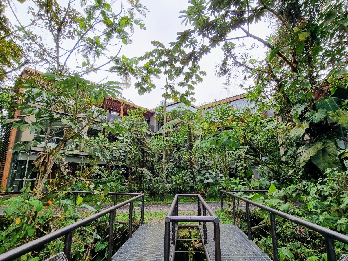Magical Mashpi – The Cloud Forests of&nbsp;Ecuador