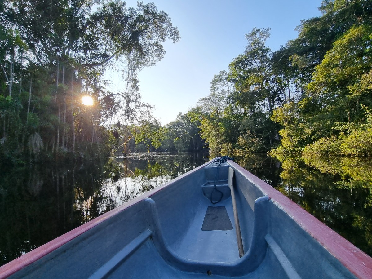 Experiencing the Amazon – Cuyabeno River&nbsp;Cruising