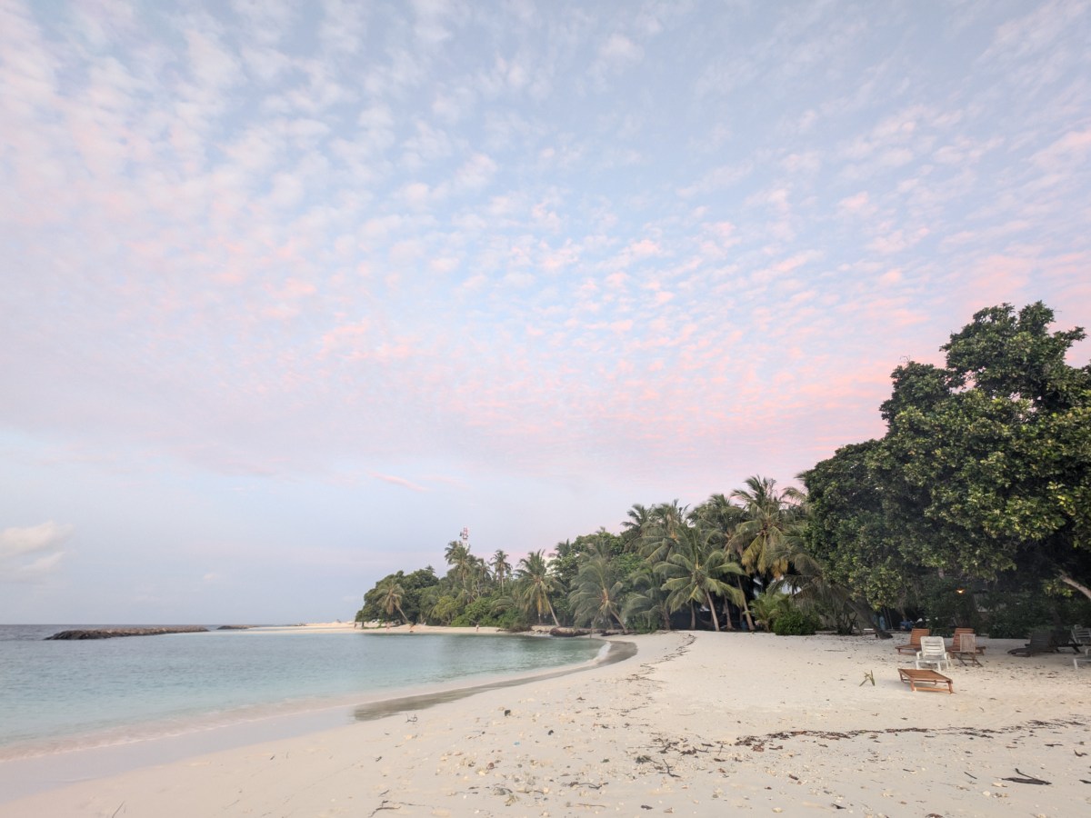 Dharavandhoo Travel Guide: Wildlife, Snorkelling and Budget Tips in Baa Atoll,&nbsp;Maldives