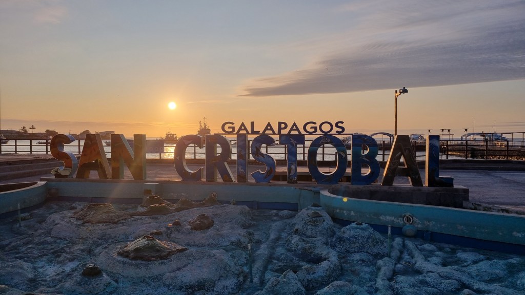 In search of Hammerheads on San Cristobal&nbsp;(Galapagos)