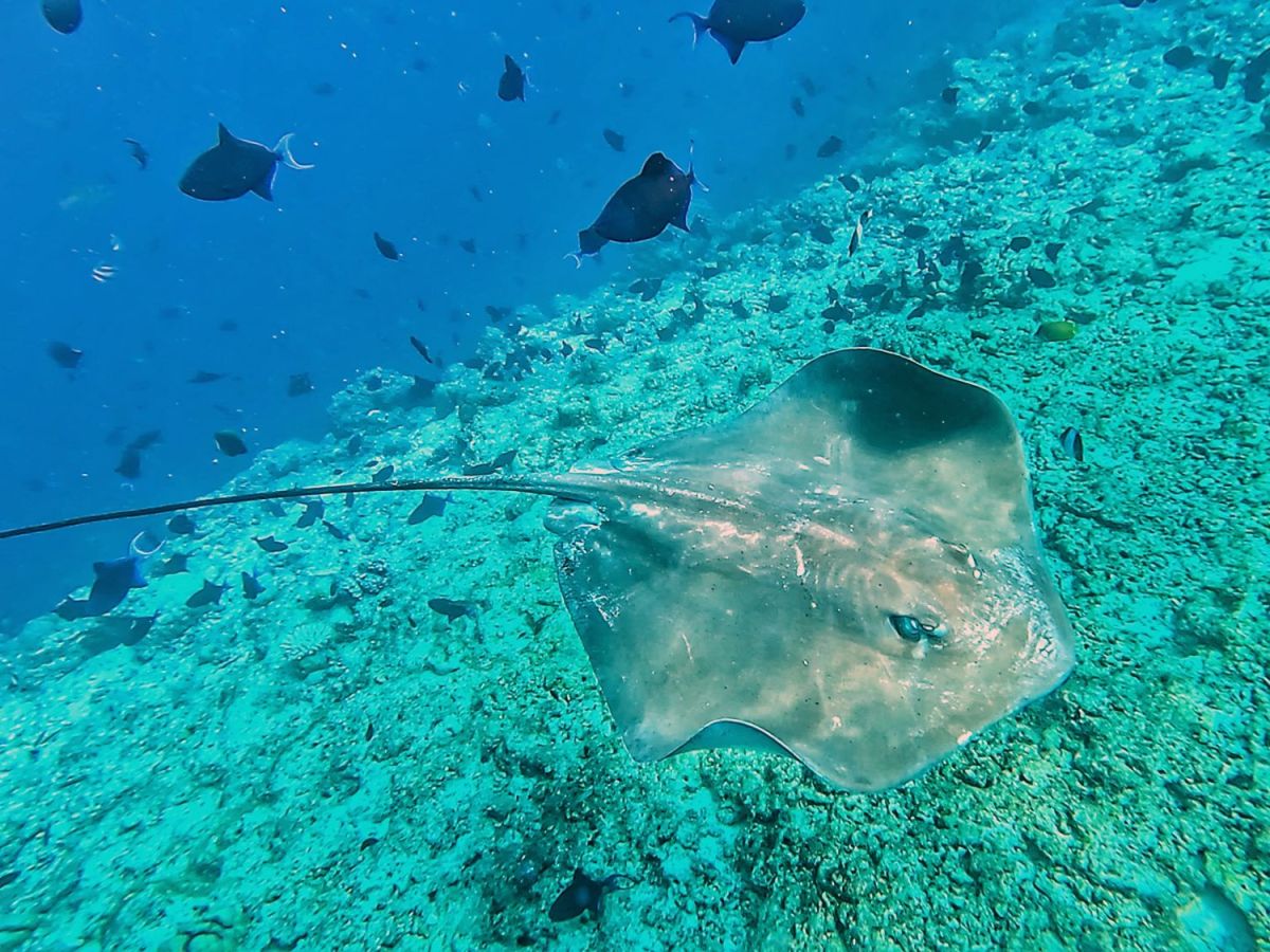 Hulhumalé Travel Guide: A Budget-Friendly Base Before Flying Out of&nbsp;Malé