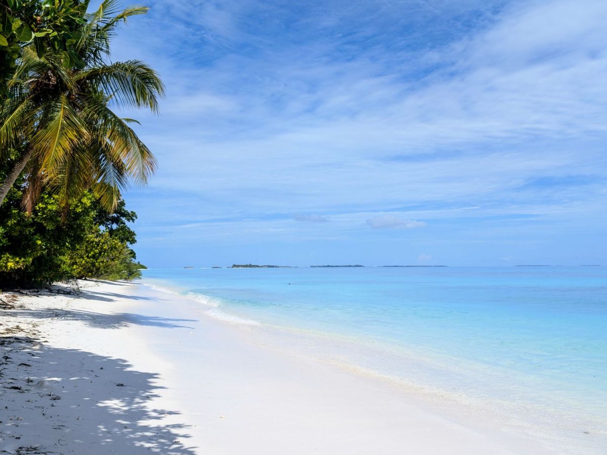 Dhigurah Travel Guide: Whale Sharks and Snorkeling on a&nbsp;Budget