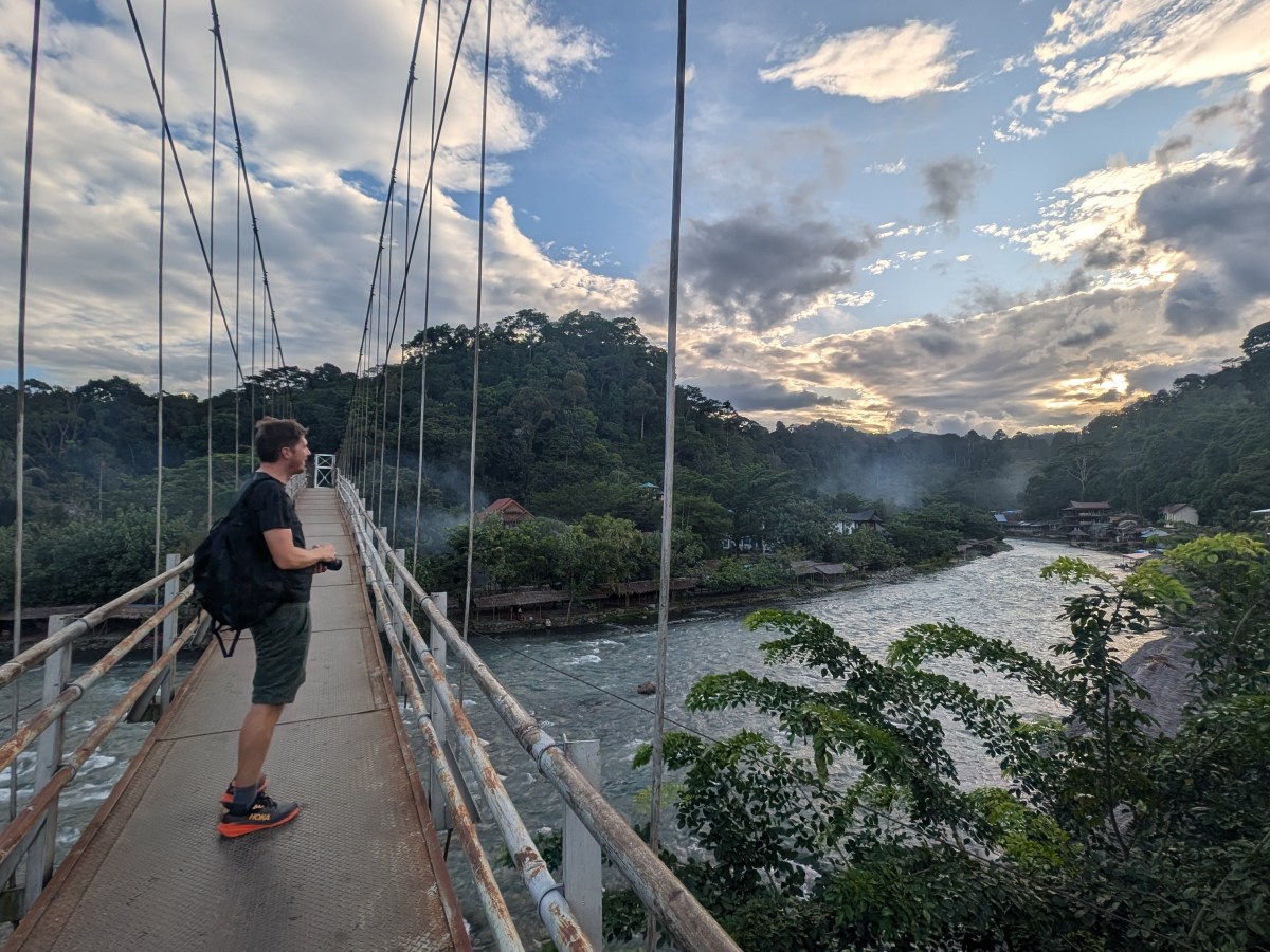 Birthday Orangutans in Bukit&nbsp;Lawang