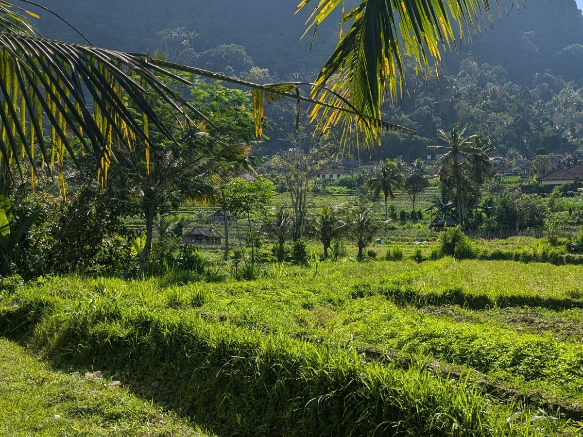 Finding Bali Roadtrip