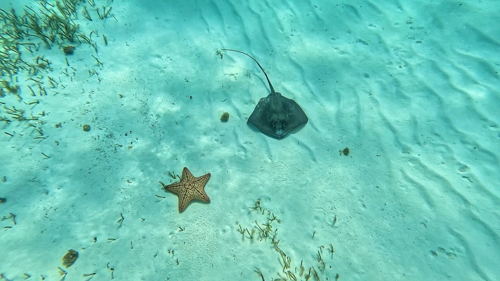First stop, Mexico: Cozumel&nbsp;island