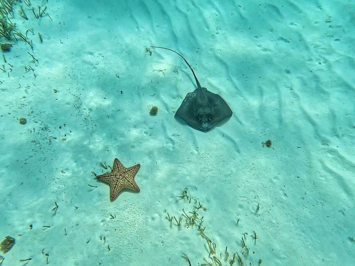 Cozumel Island Travel Guide: Best Snorkelling Spots, Beach Clubs & Budget&nbsp;Tips