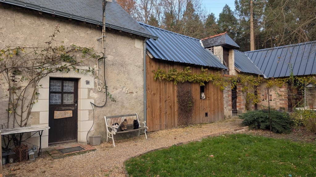 The Journey Continues…